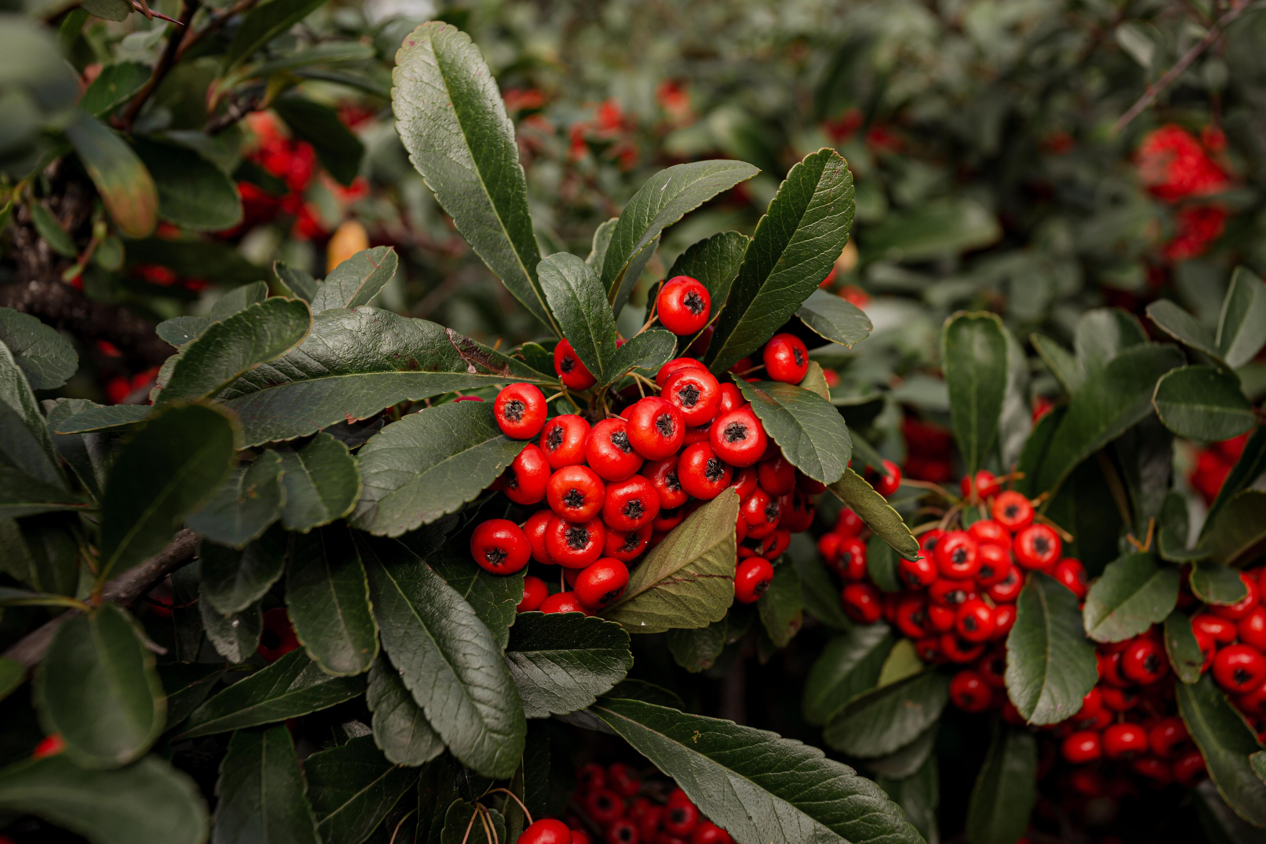 Туапсе. Photographer Sonkina Tatiana (Tanya Ash)