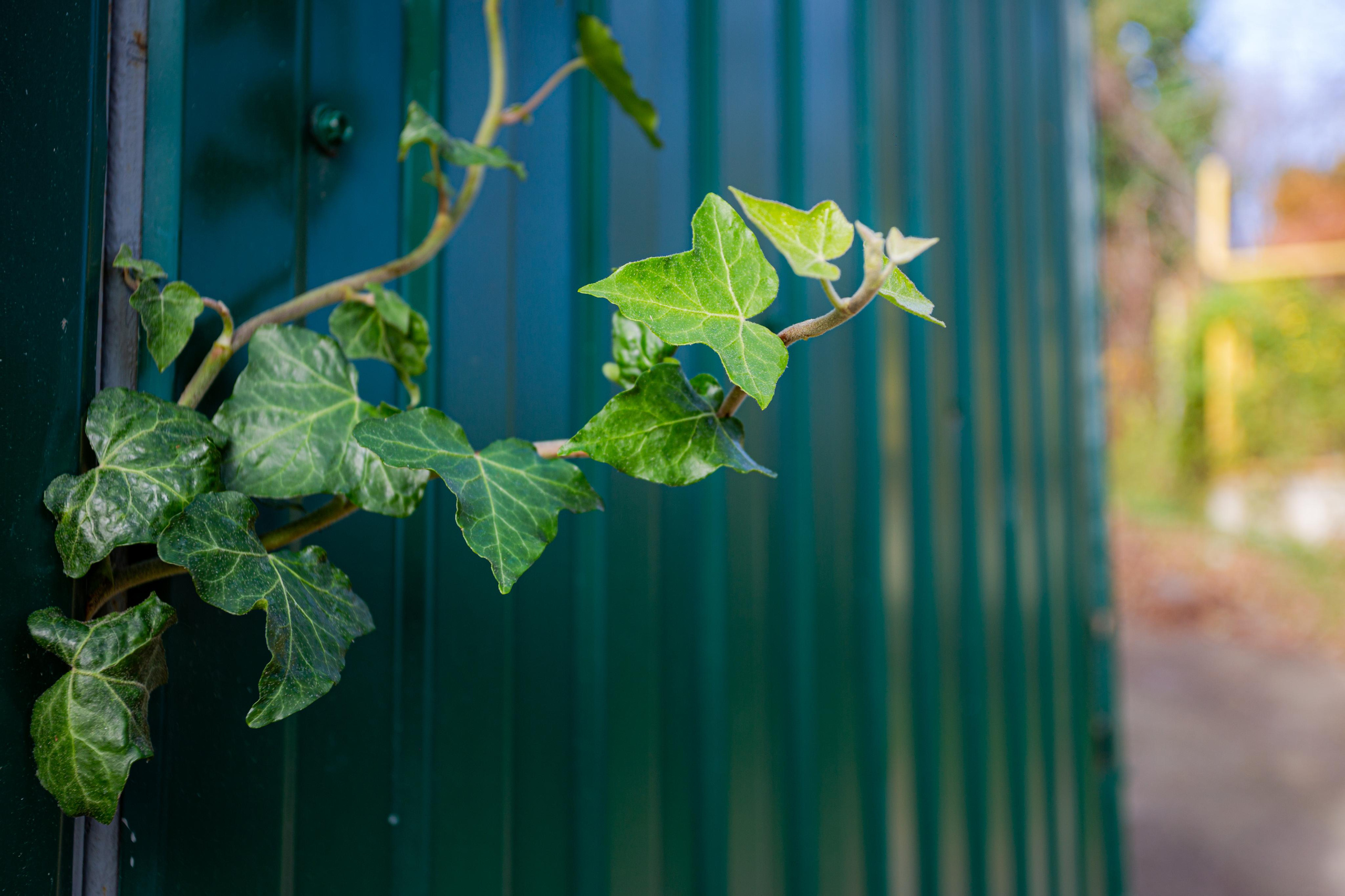 Туапсе. Photographer Sonkina Tatiana (Tanya Ash)