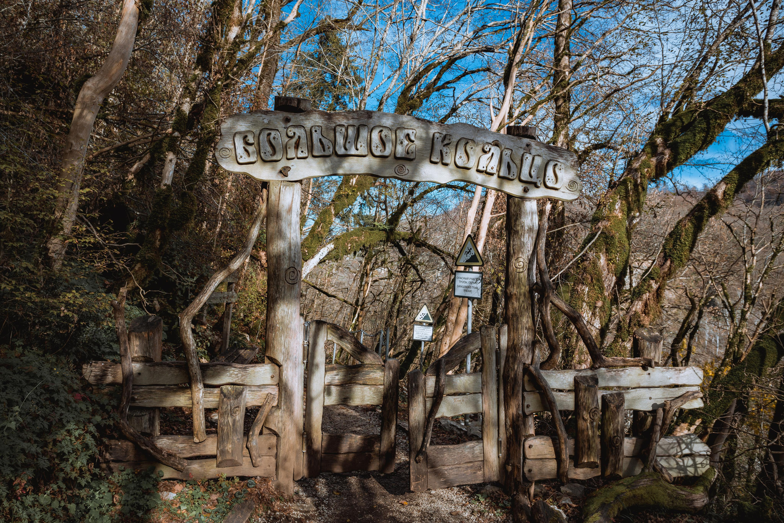 Тисо-самшитовая роща. Photographer Sonkina Tatiana (Tanya Ash)