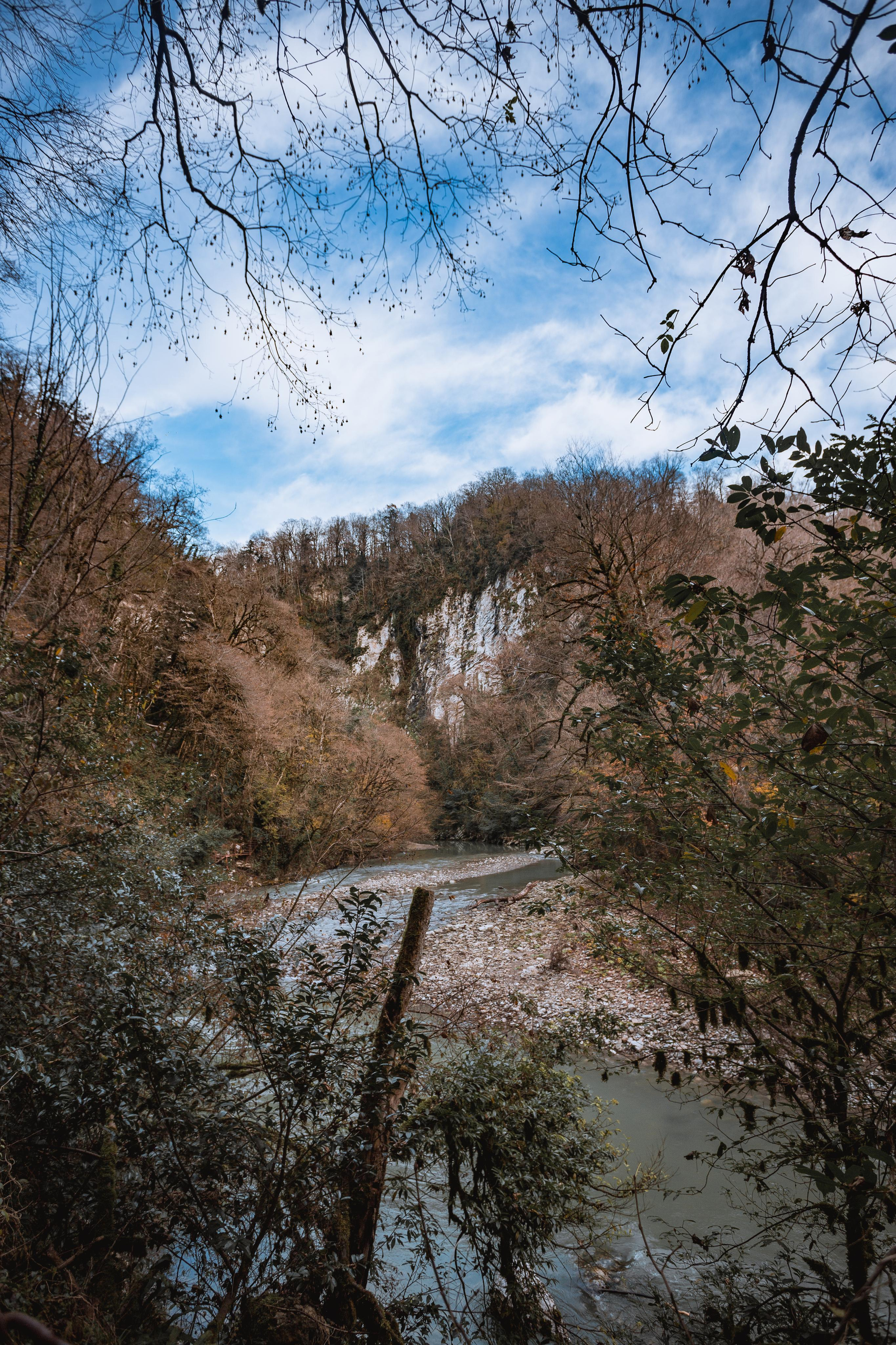 Тисо-самшитовая роща. Photographer Sonkina Tatiana (Tanya Ash)
