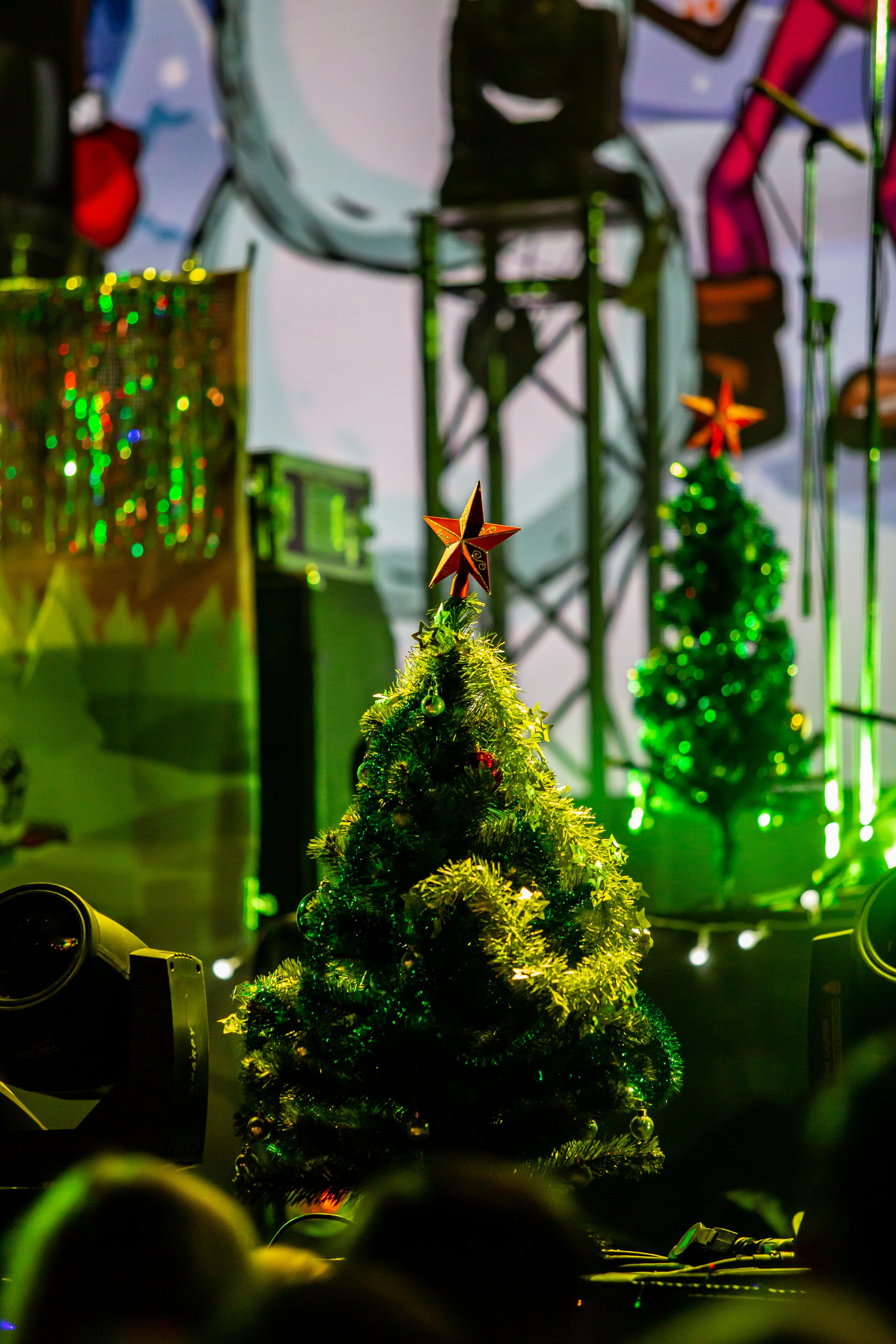 АРИЯ. Фотограф Сонкина Татьяна