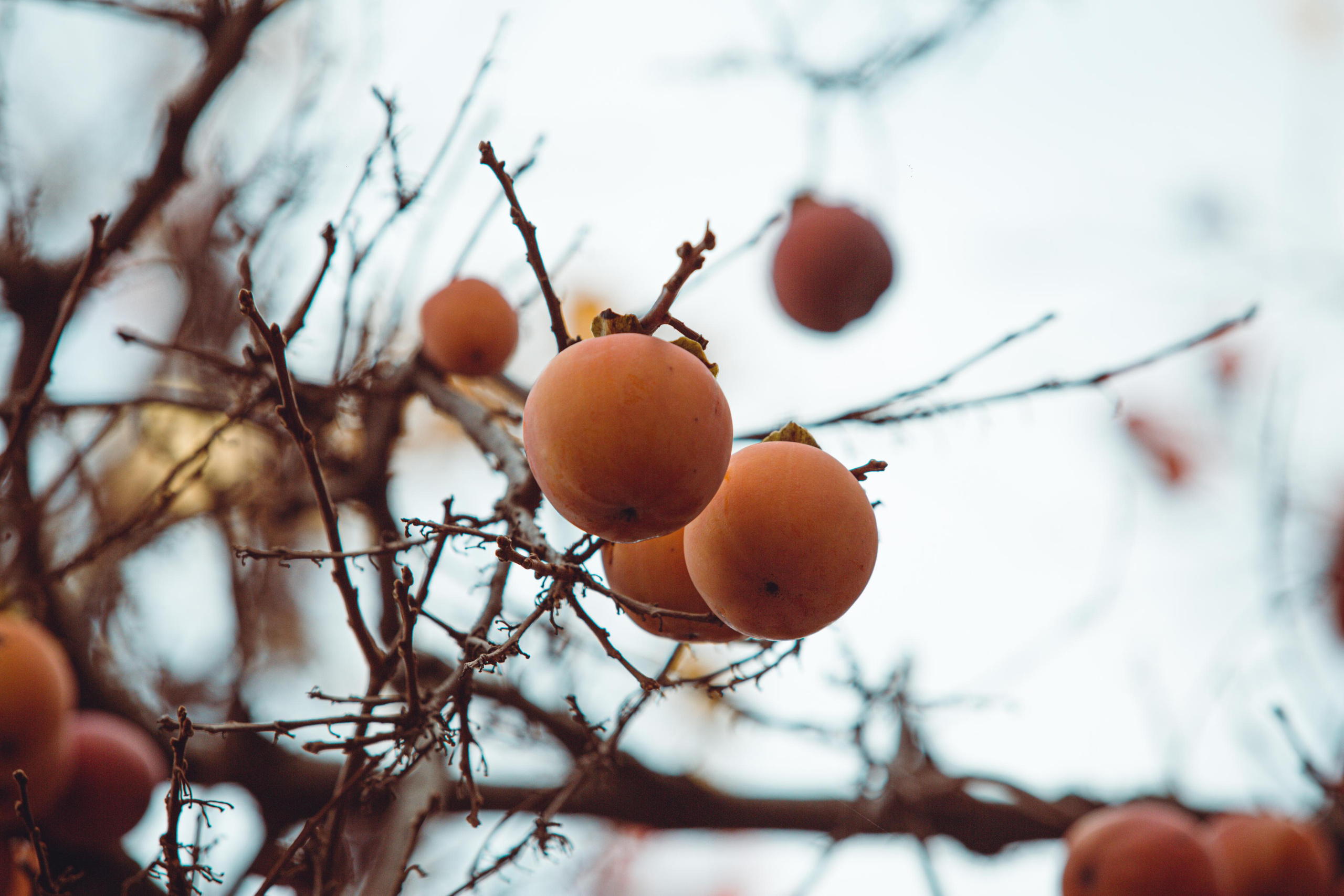 Туапсе. Photographer Sonkina Tatiana (Tanya Ash)