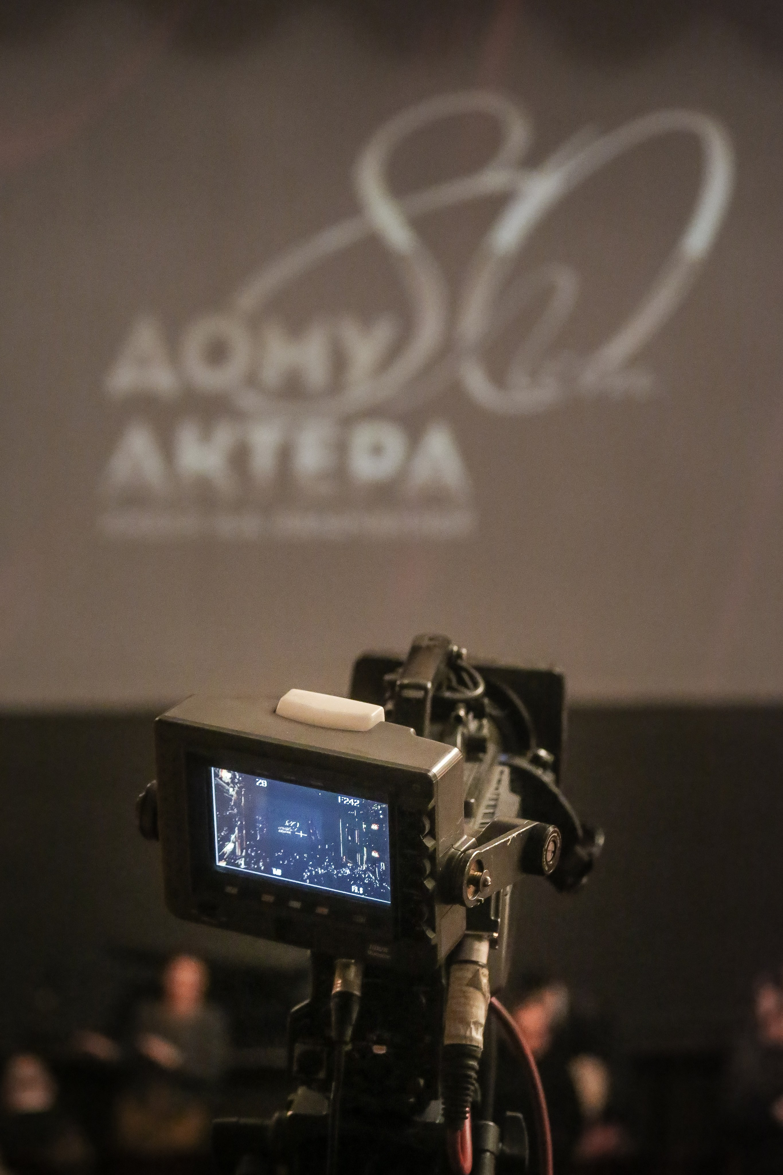 80-летие московского Дома актера. Дарья Письменюк / Darya Leitstern — фотограф, музыкант, журналист, путешественник