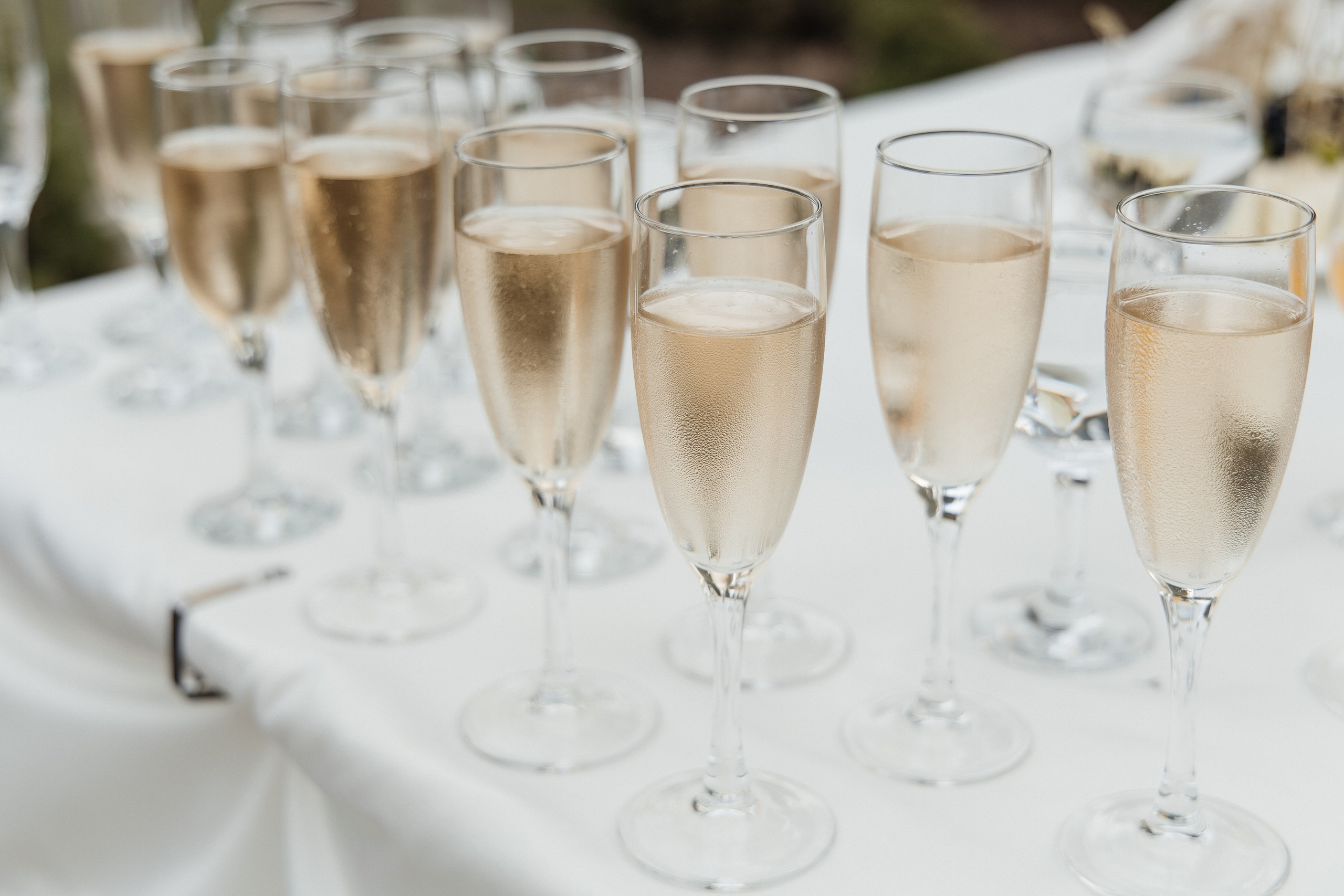 N&V. Фотограф Таганрог Хребет София