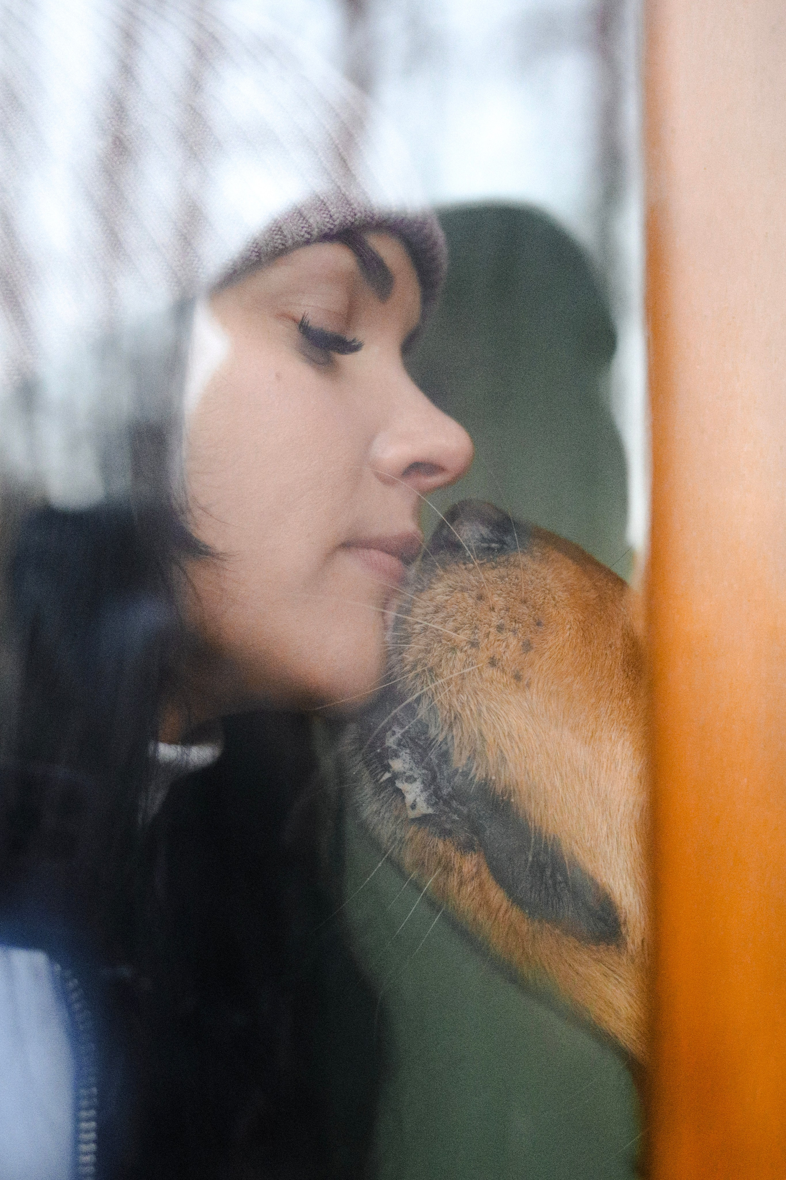 Лёва и Катя. Фотограф-анималист Ксения Шевцова|Москва