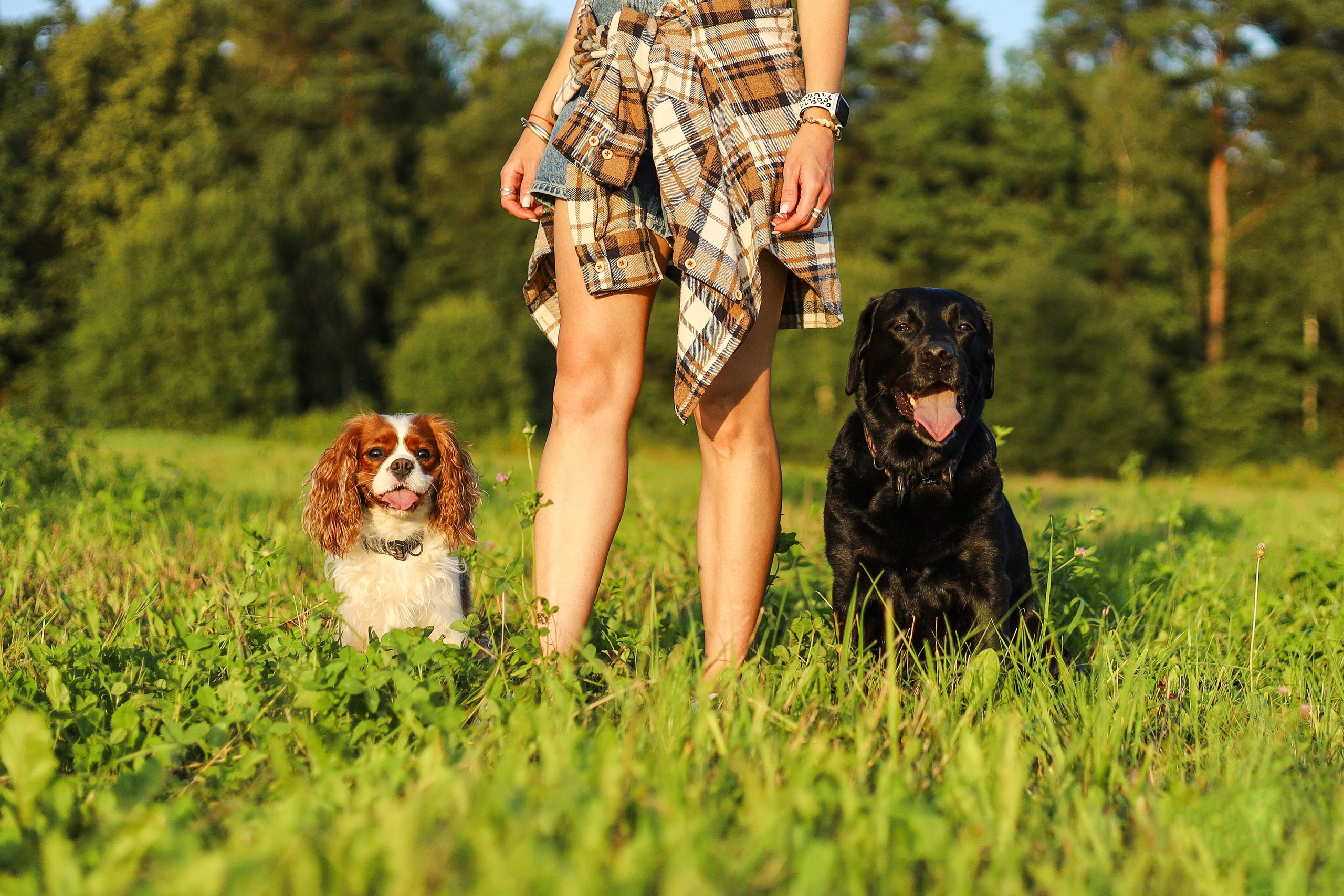 Бонни, Лея и Лера. Фотограф-анималист Ксения Шевцова|Москва
