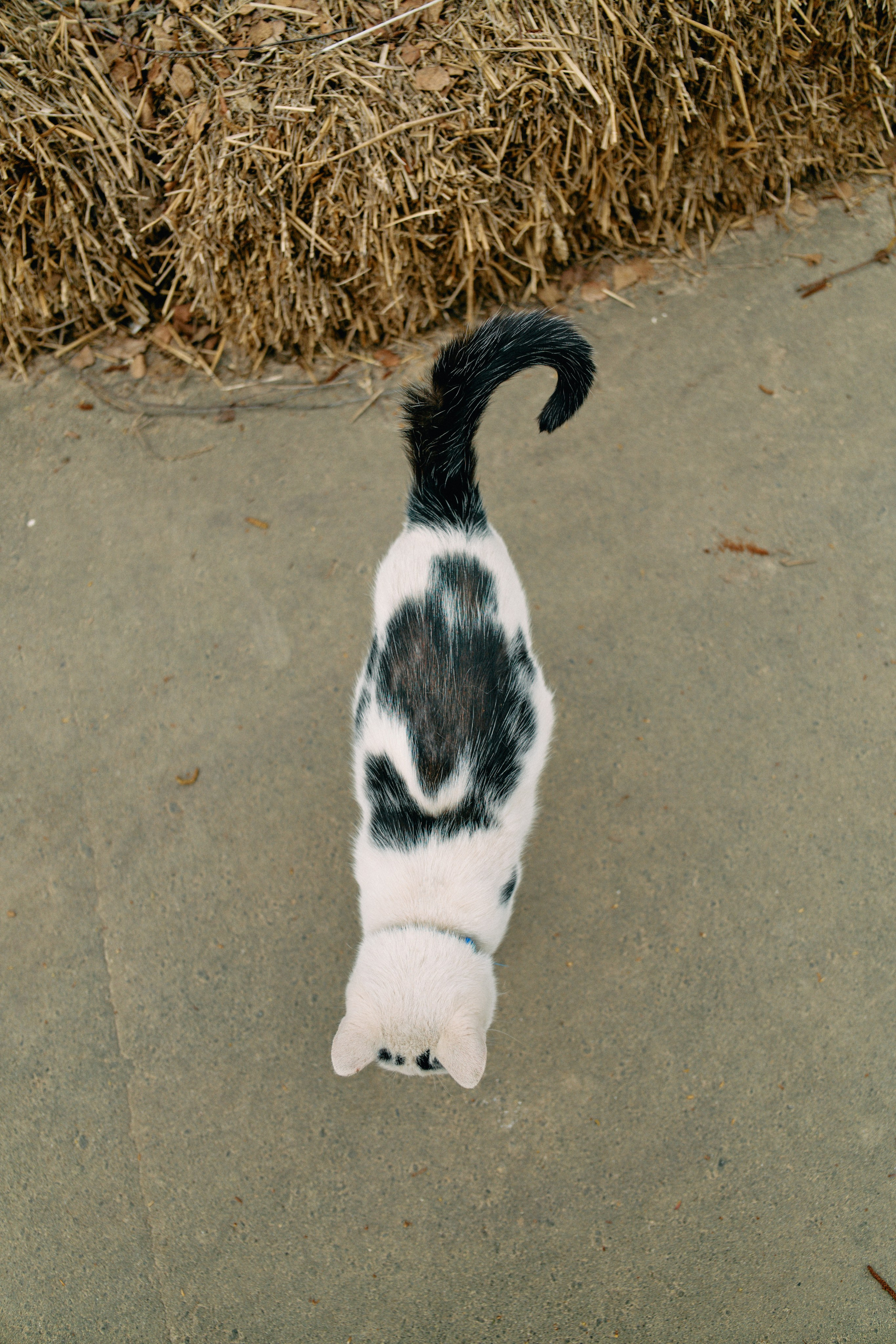 Бутик-отель Поле летом. Профессиональный Фотограф во Владимире, в Москве и в Суздале — Полина Романычева