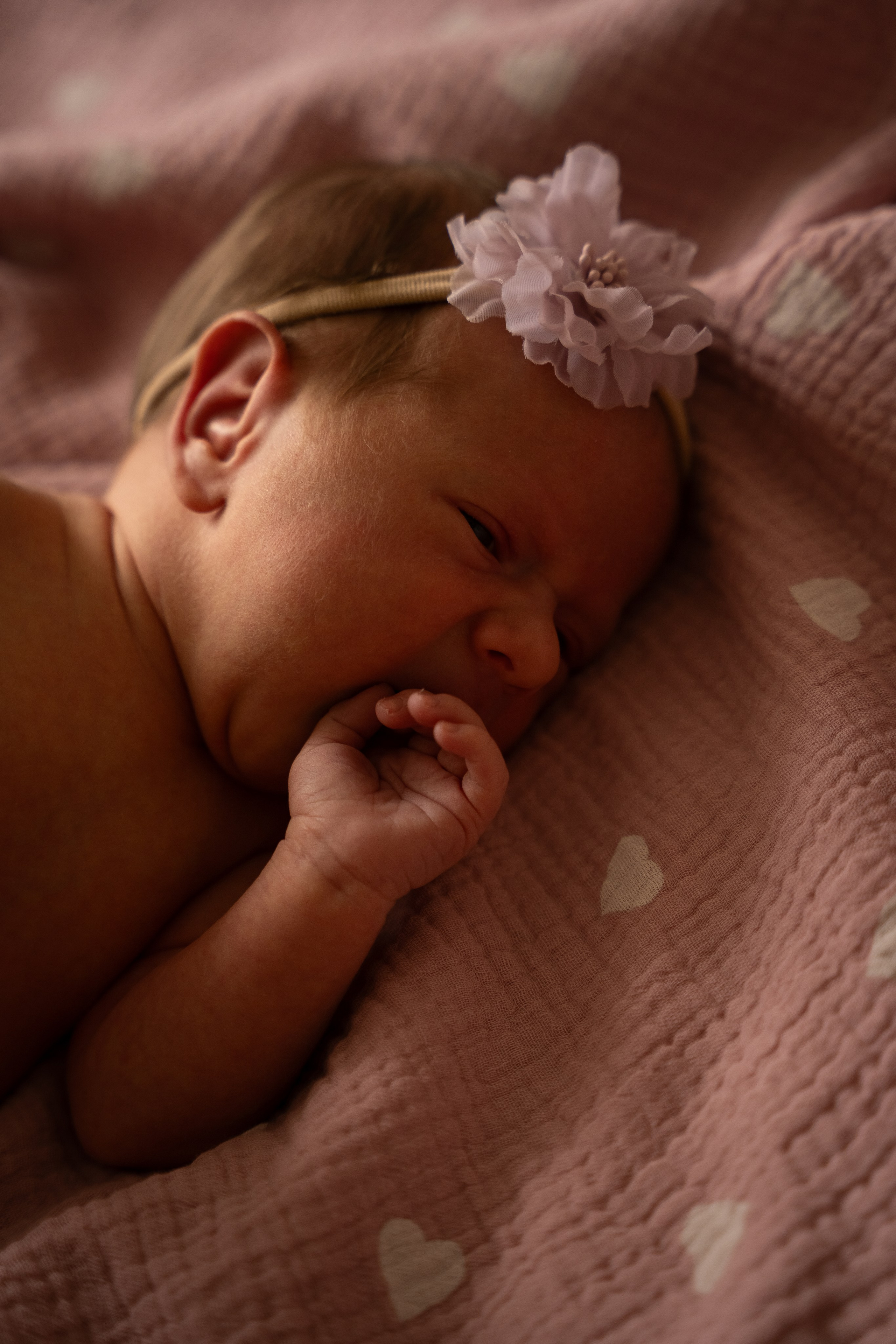 Ксения. Фотограф в Ульяновске Александра Григоровских