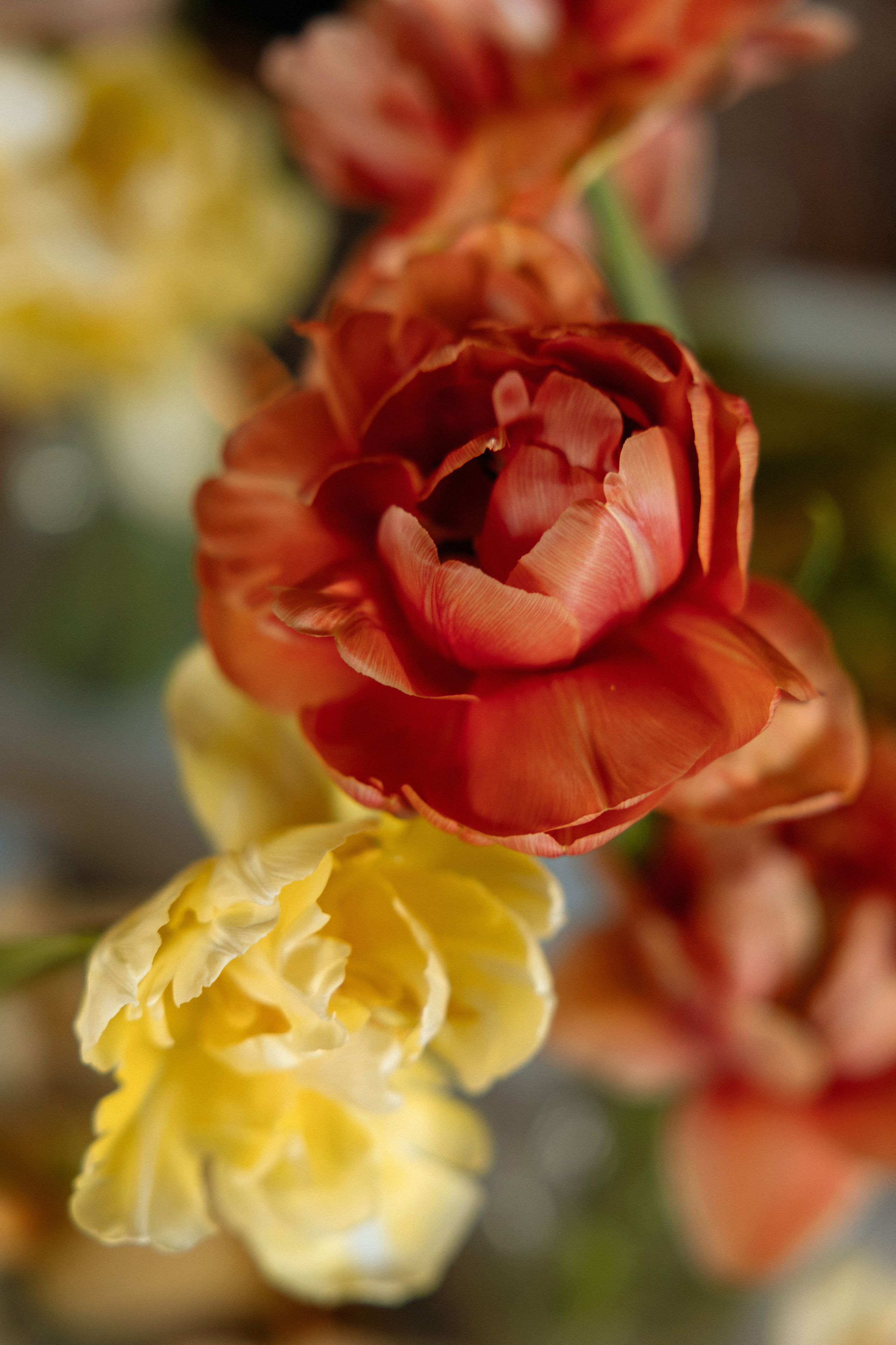 Полина и Денис. Свадебный фотограф в Санкт-Петербурге и в Москве Вероника Рябова