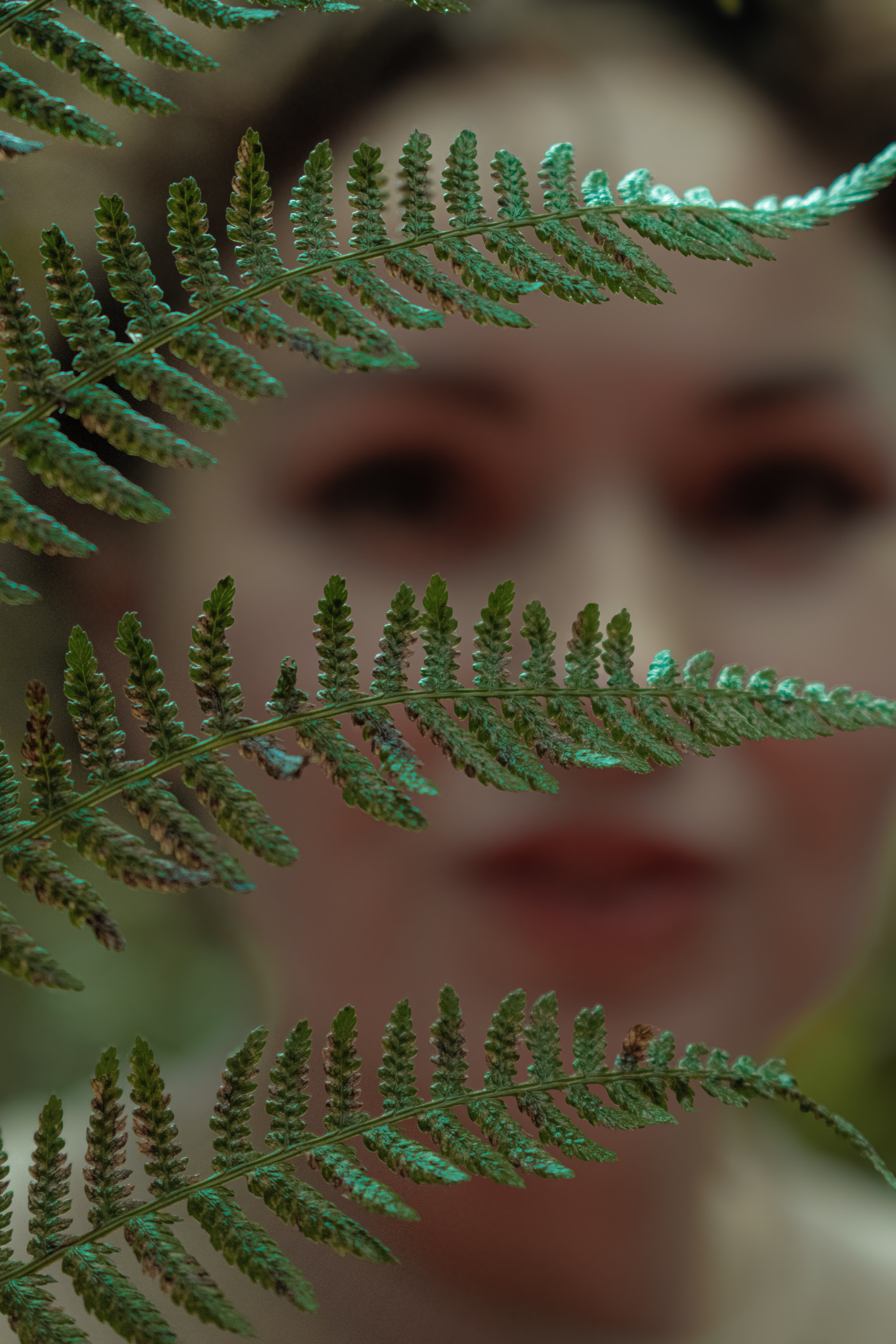 Девушка смотрит сквозь папоротник