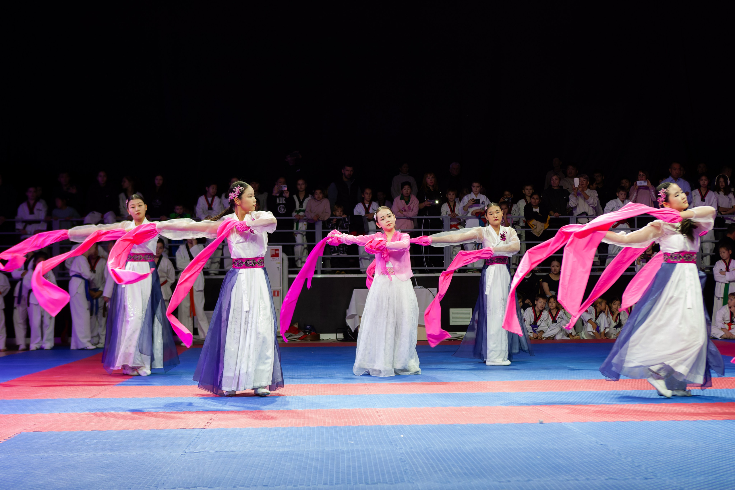 Дальневосточный фестиваль восточных единоборств. Кутузов Евгений Фотограф в Южно-Сахалинске