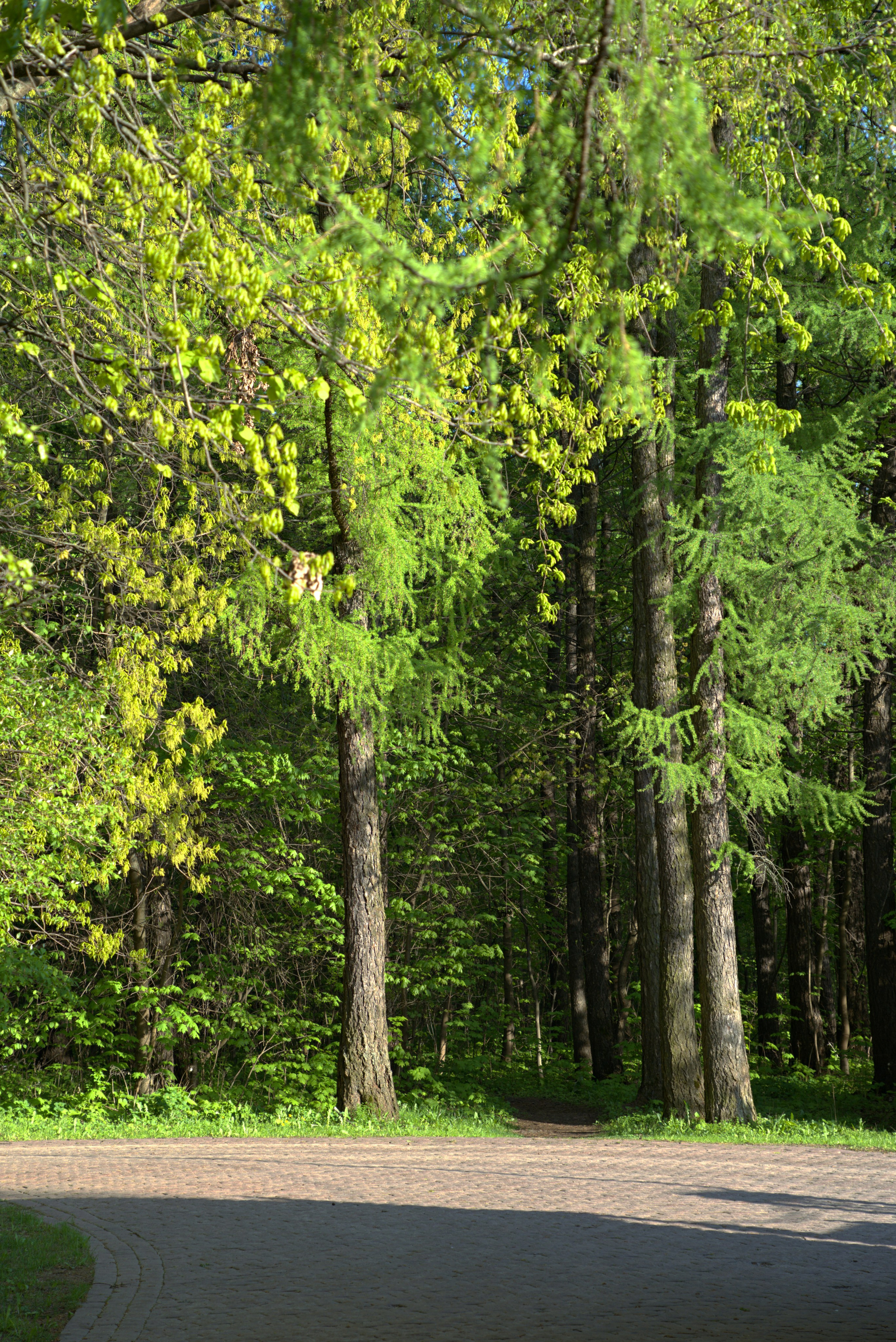 Музей-Заповедник «Царицыно» | 2025. GLAR