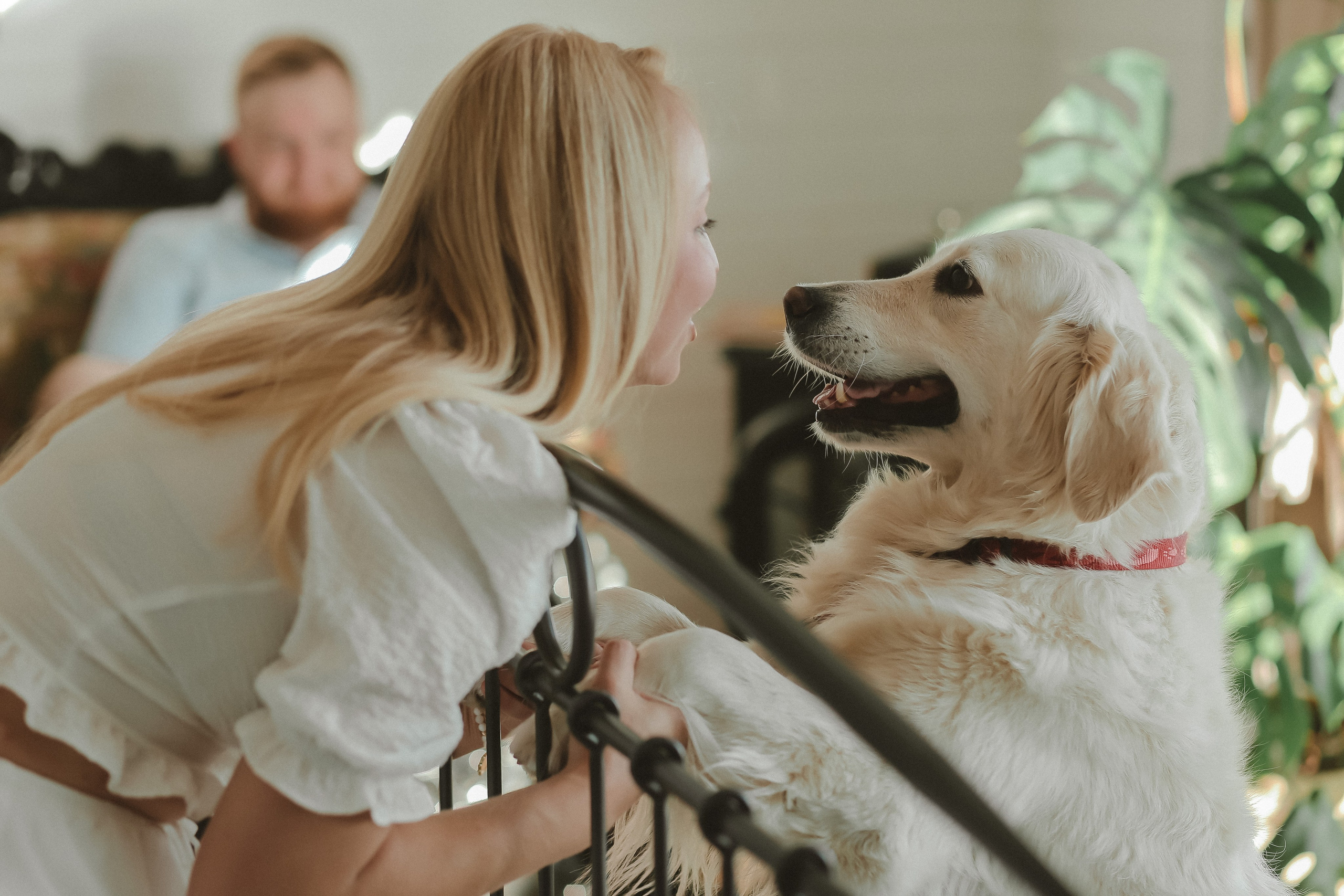ПРЕДЛОЖЕНИЕ. Фото и Видео в Краснодаре Verveyko Studio