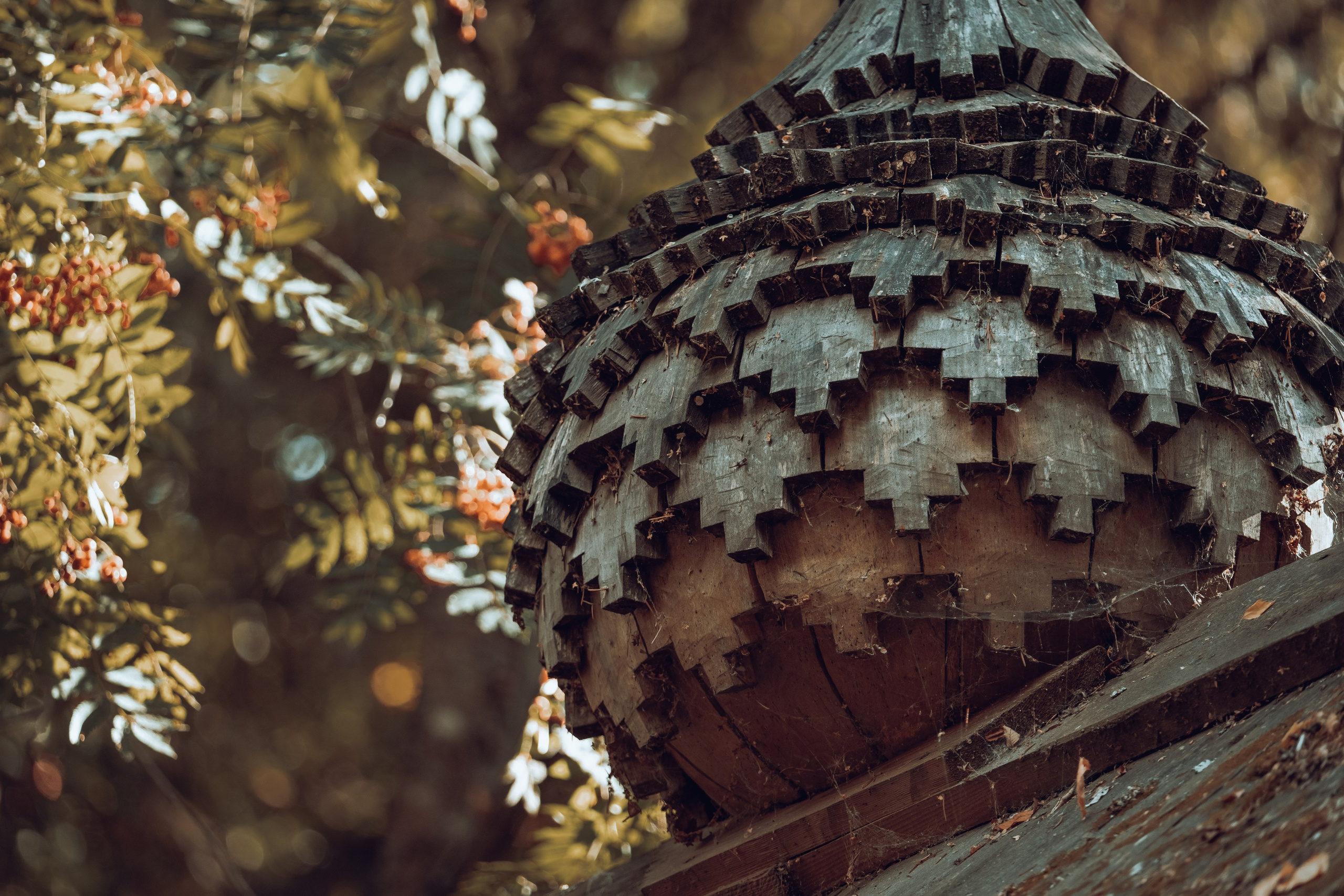 Кенозерье. Фотограф Александр Решня