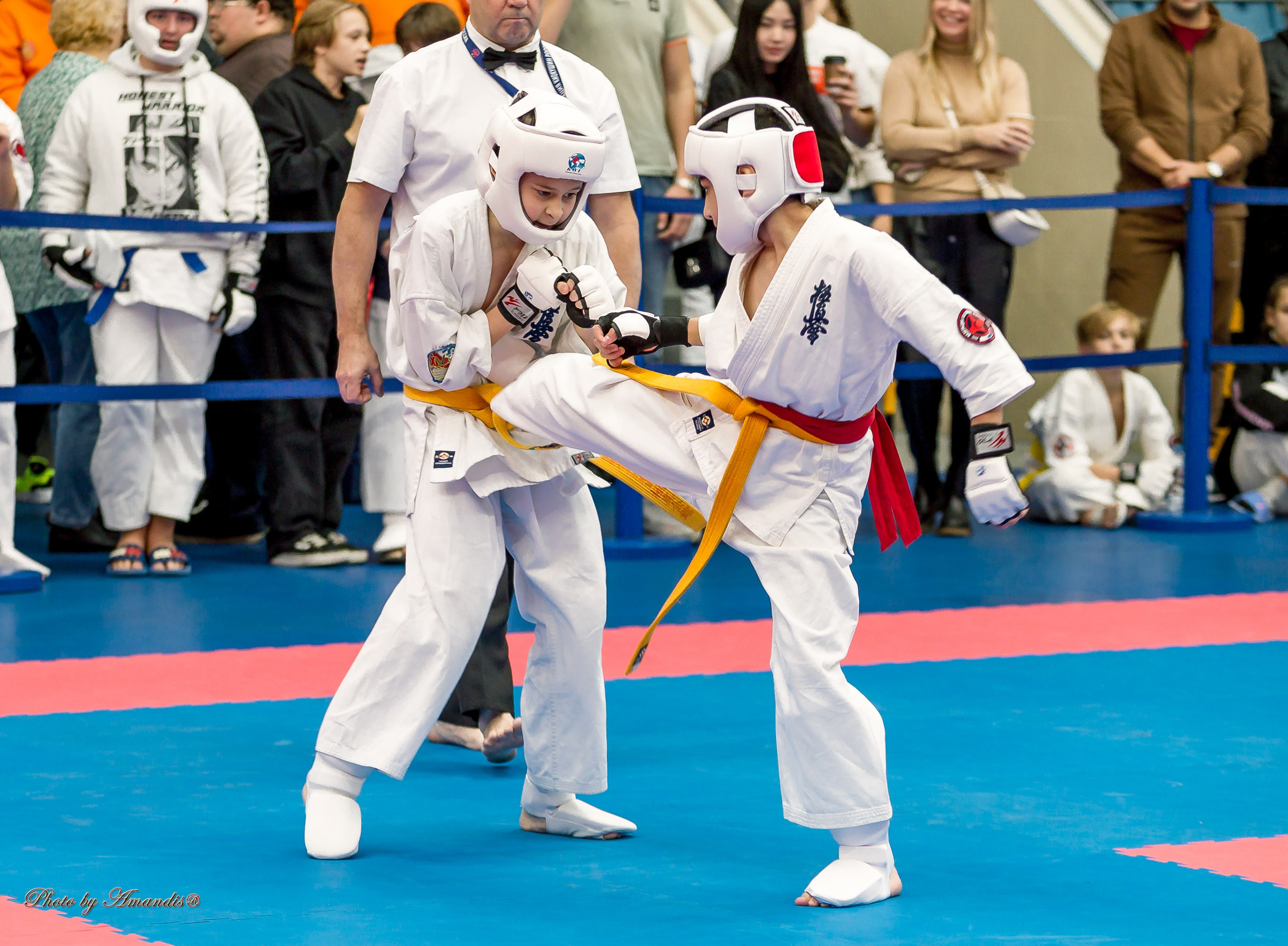 Чемпионат по Киокушинкай Центрального Федерального округа. Репортажная съемка в Москве и области. Анималистика