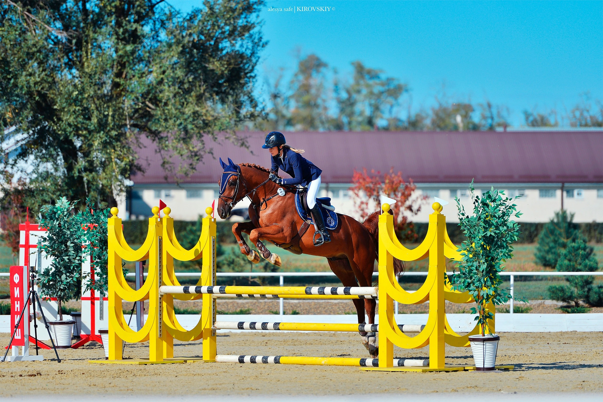 Кировский конный завод. Конный фотограф Alesya Safe