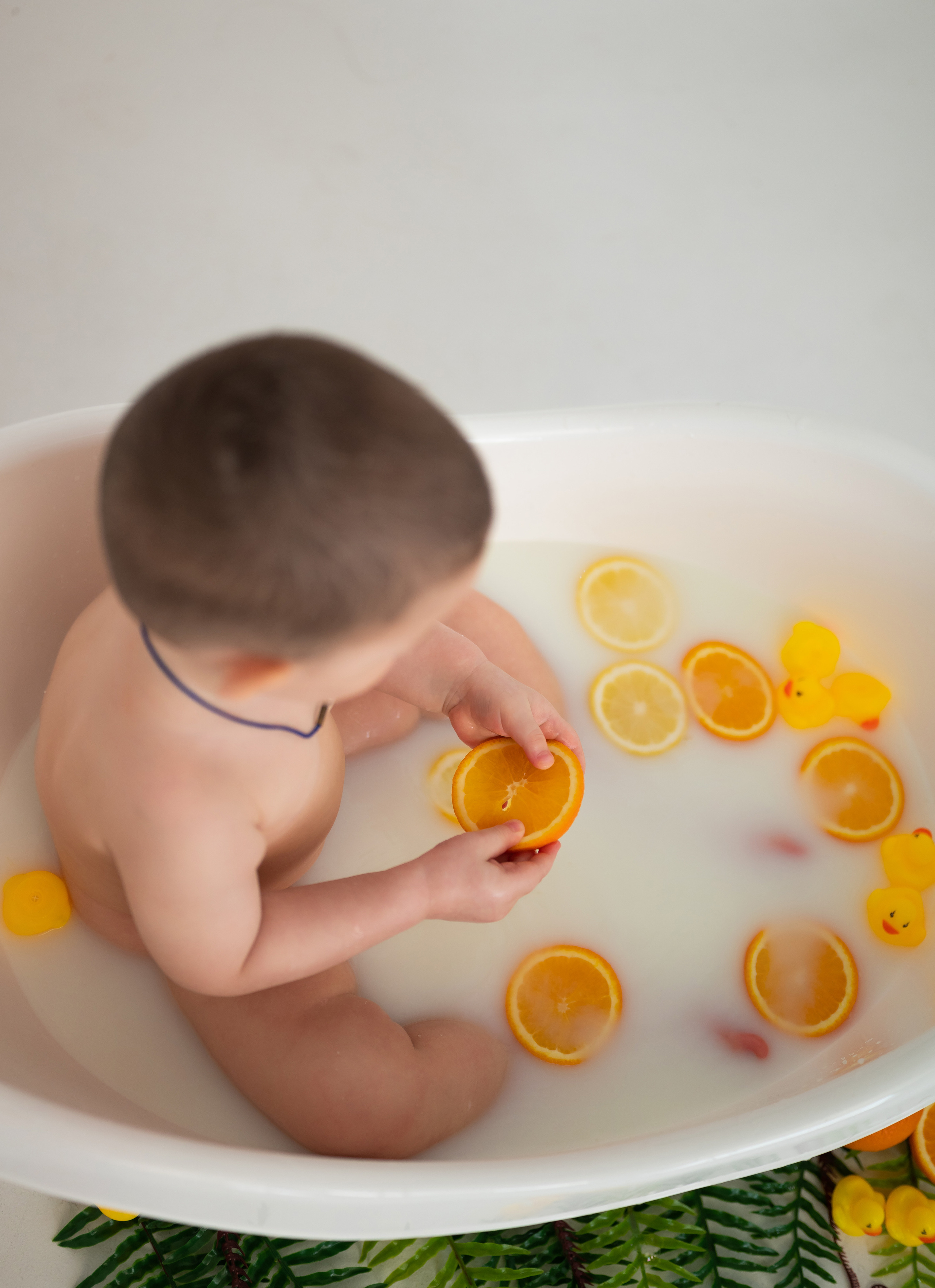 Фотопроект *Молочные реки. Утиные берега*. Фотограф в городе Салават