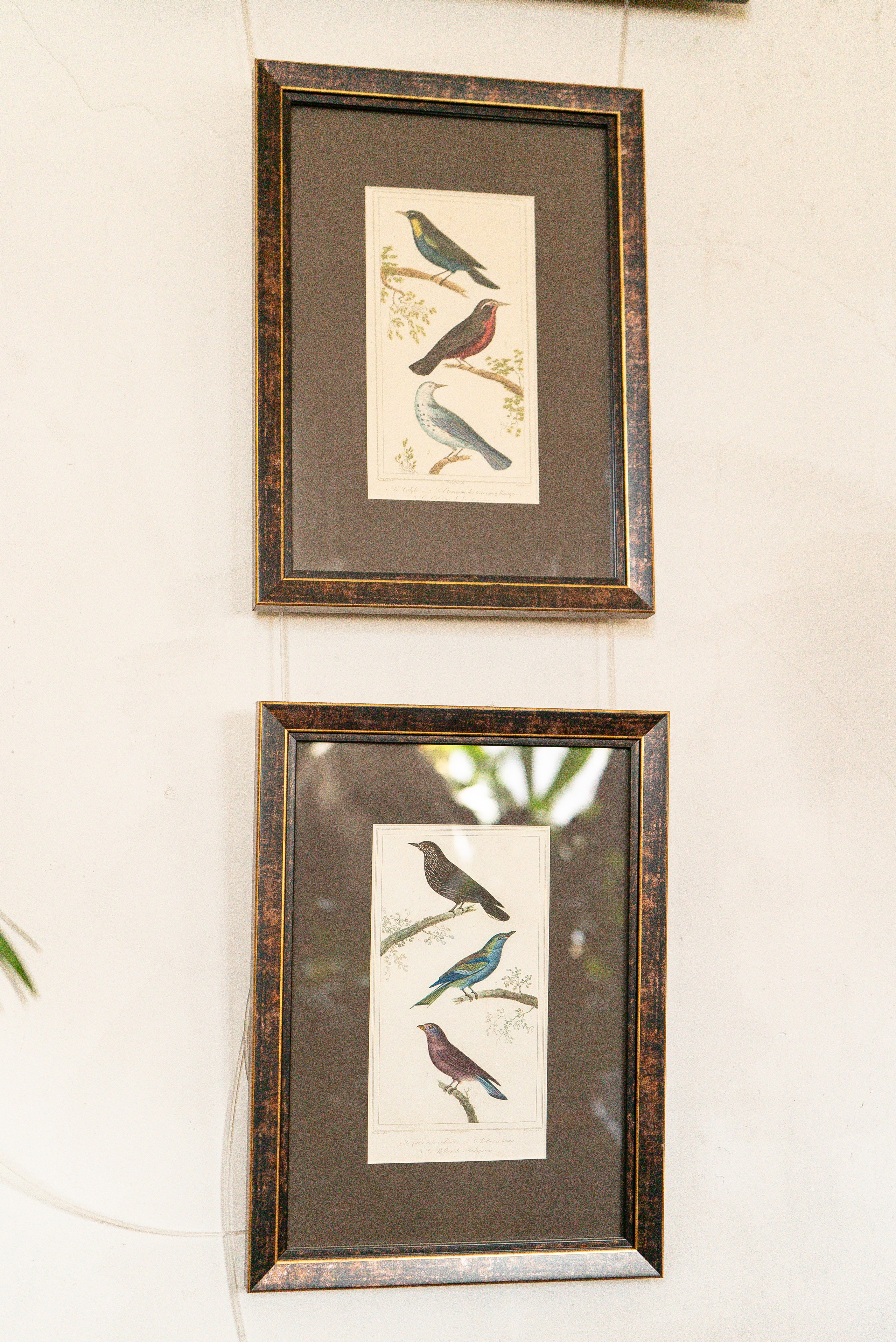 Усадьба. Александра Куликова фотограф, Москва