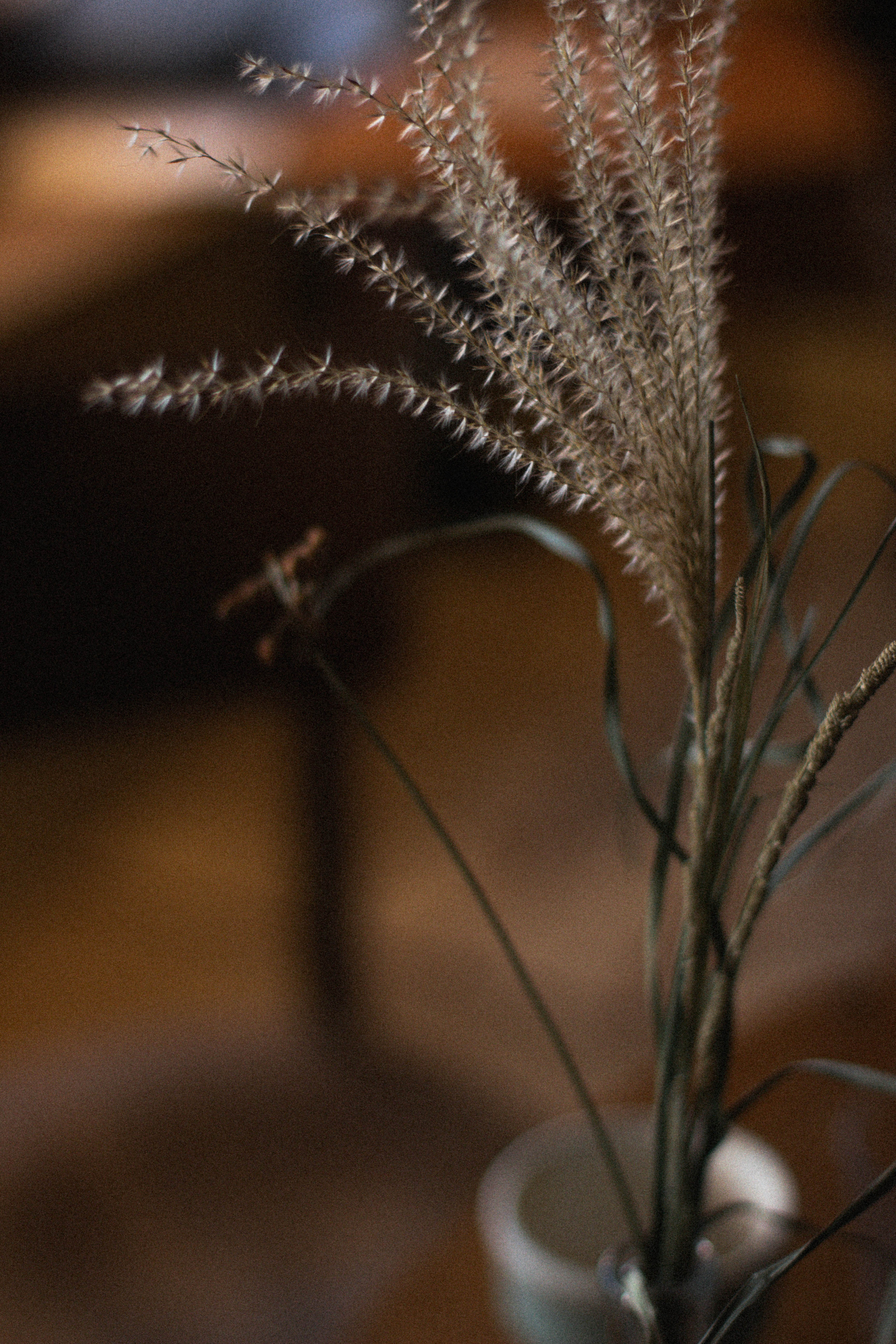 Аня. Семейный фотограф Елена Баган Волгоград