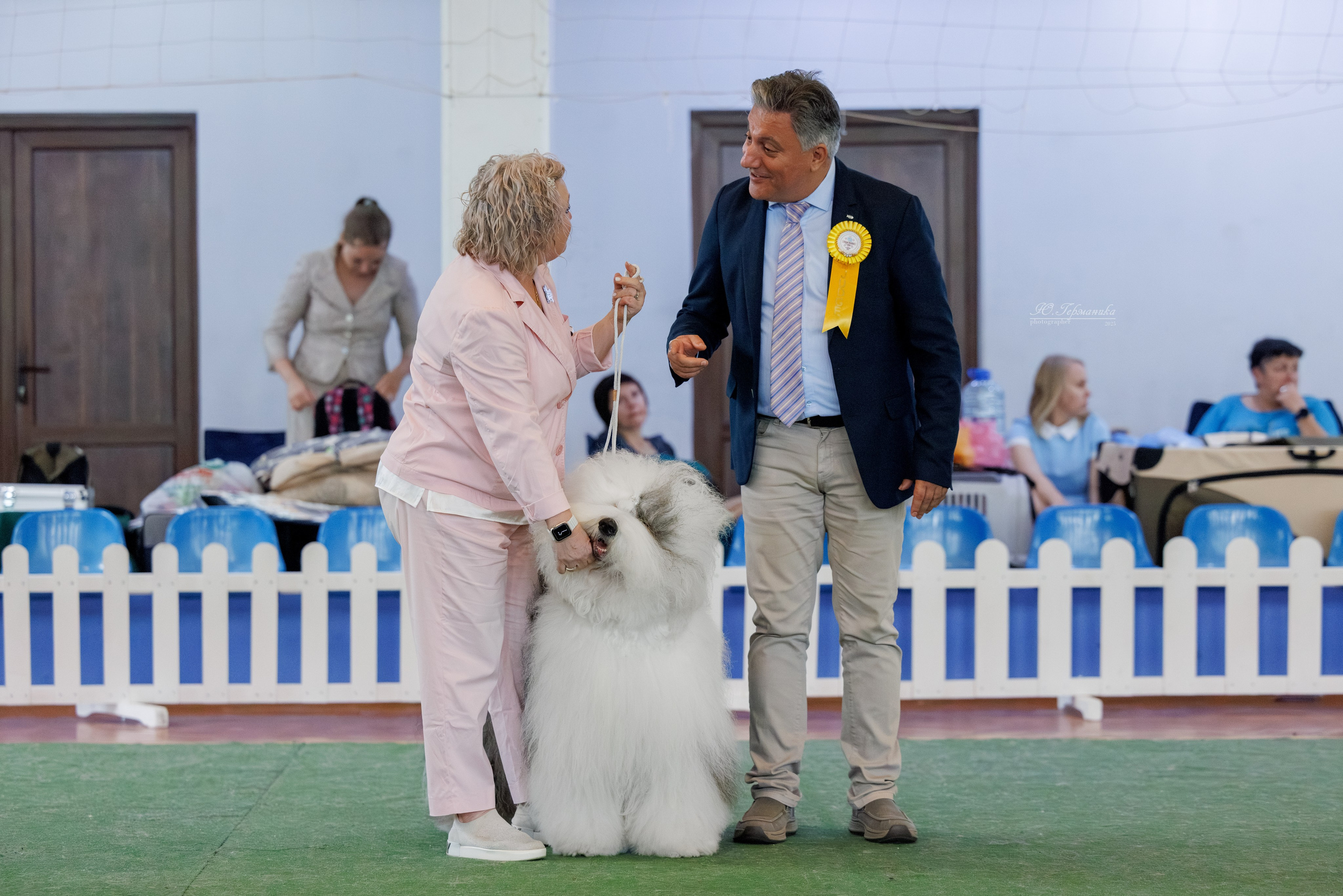 Батуми 3хCACIB 27-29.06.2025. Фотограф-анималист Юлия Германика