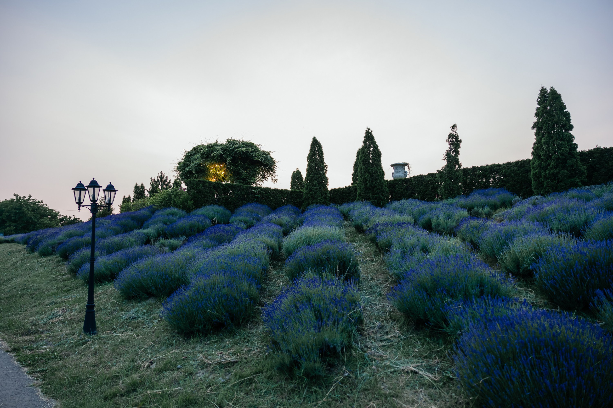 Pastoral. Репортажный и свадебный фотограф в Краснодаре Владислав Рыжов