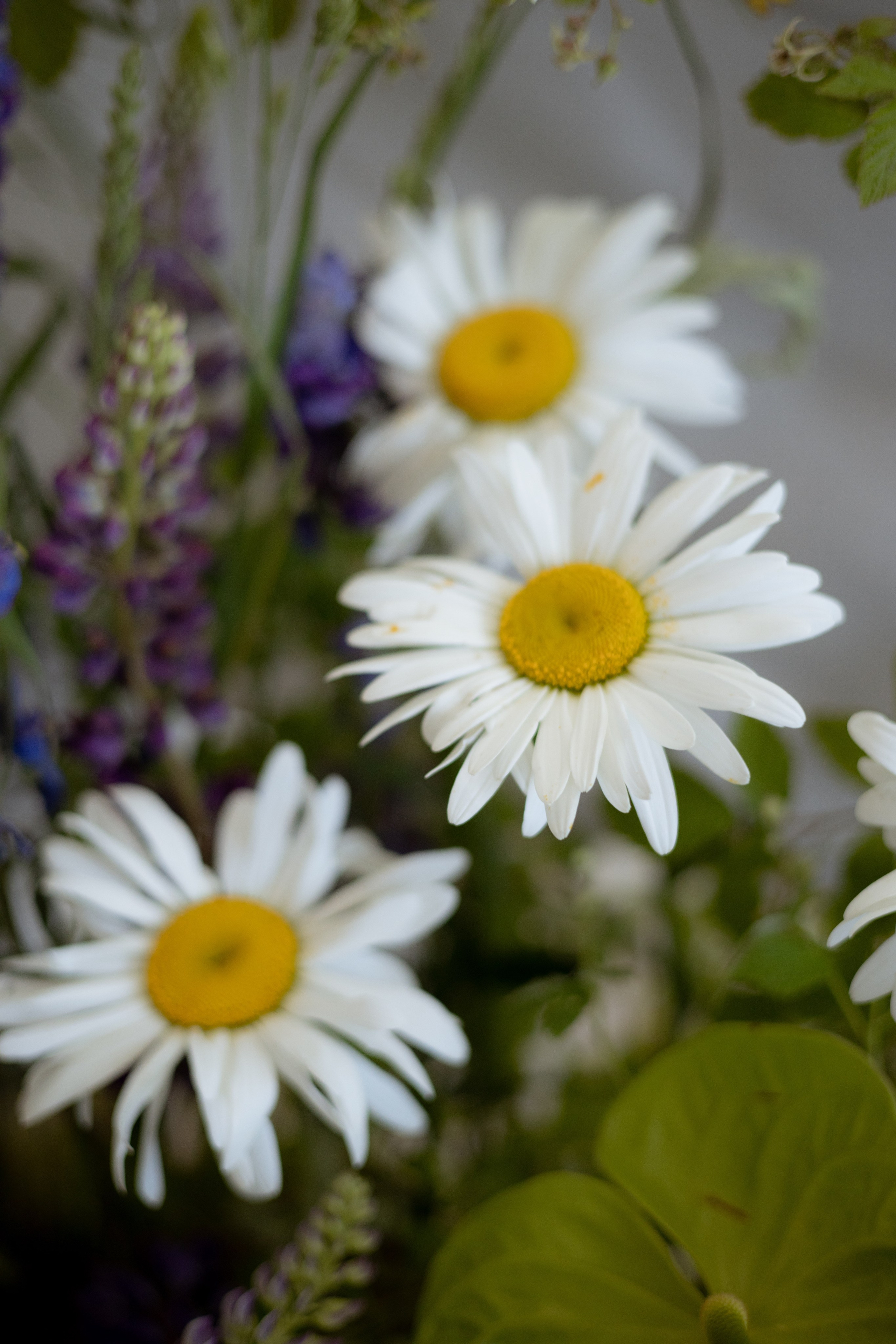 «Московское небо». Оформление свадеб, декор свадеб Вера Маркова, Москва