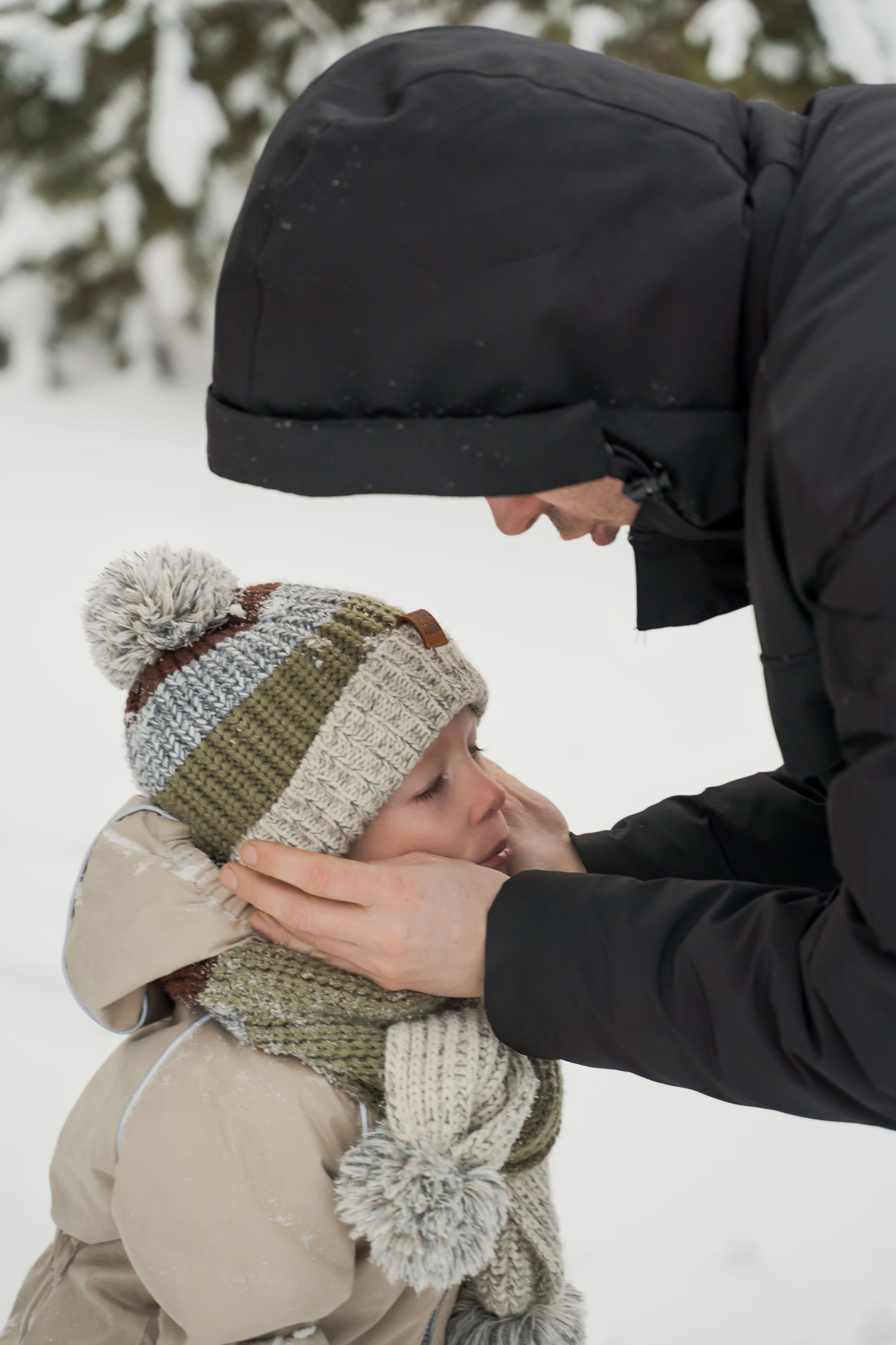 Зимняя прогулка. Главная