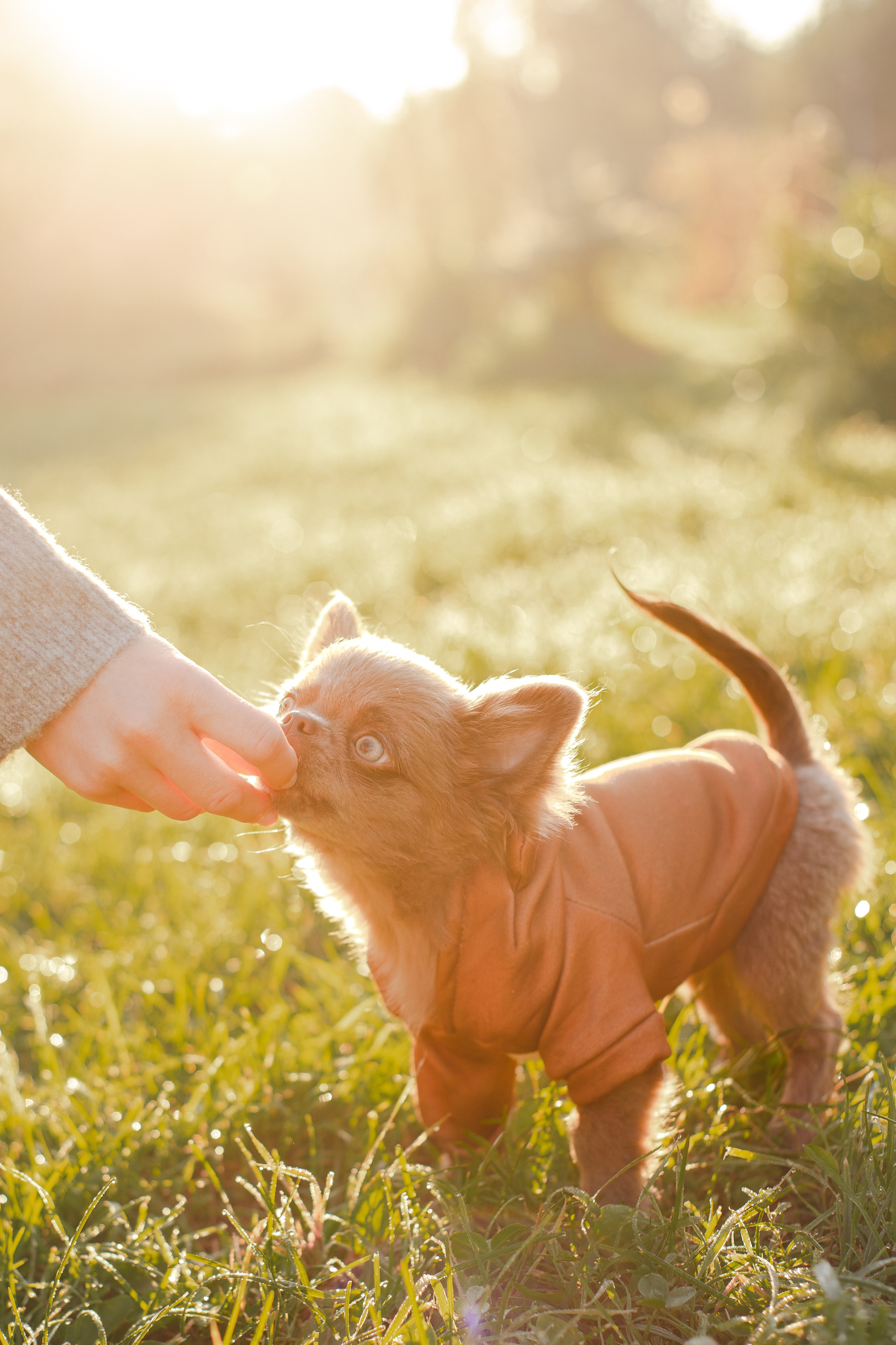 Варя и Фунтик. Фотограф-анималист Мария Баркевич | Москва