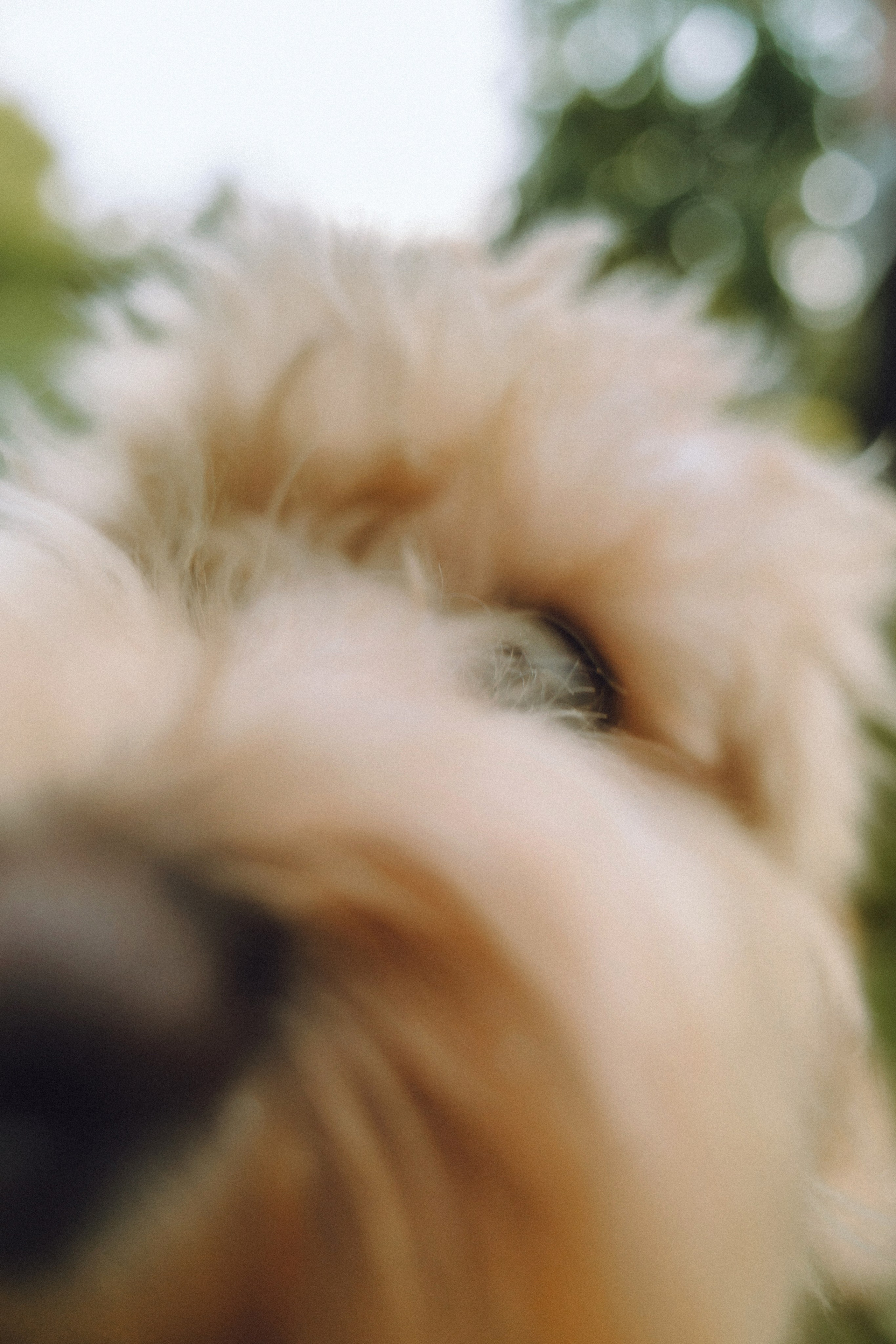 Фред и его семья