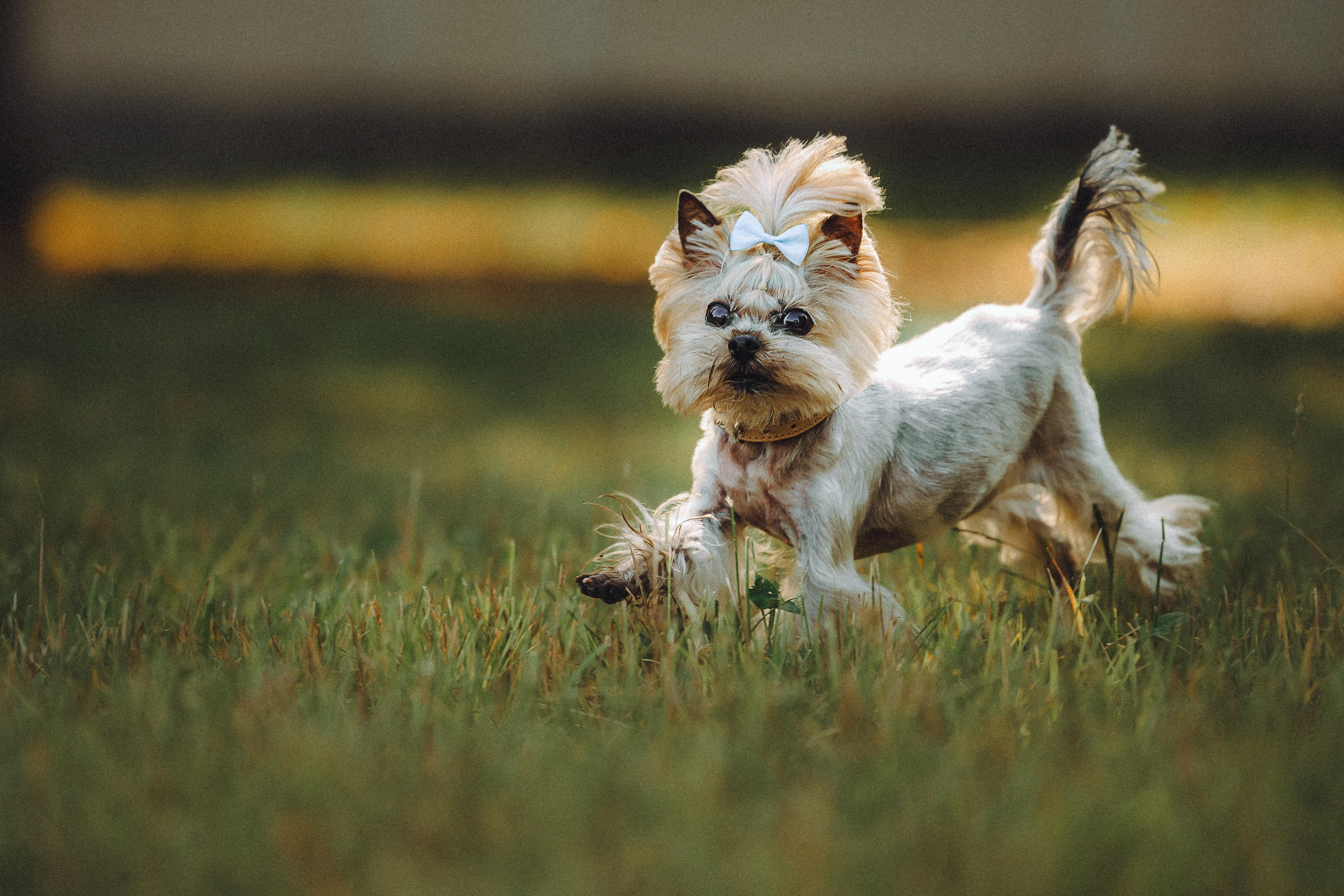 Дженни, Оливия и их семья