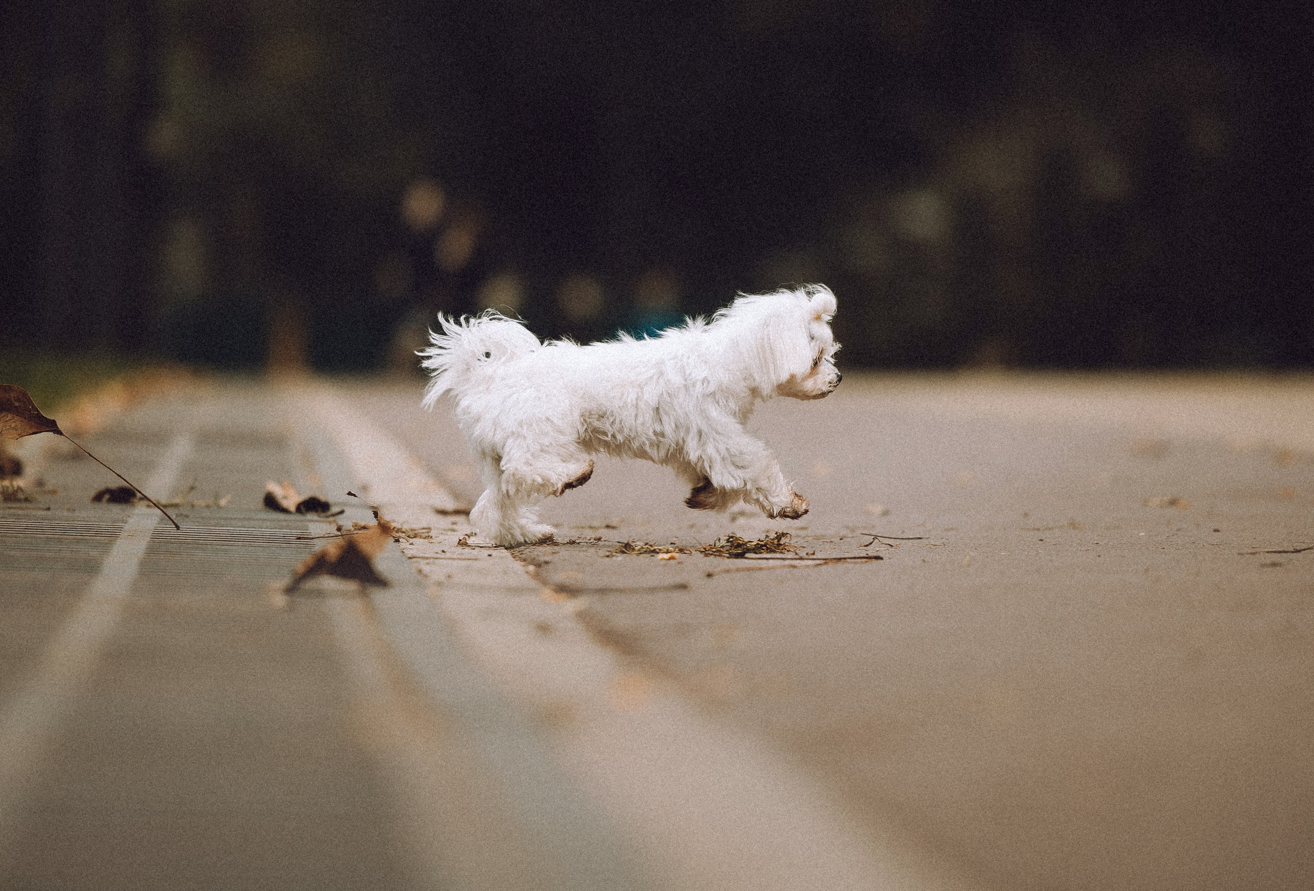 Настя и Гоша