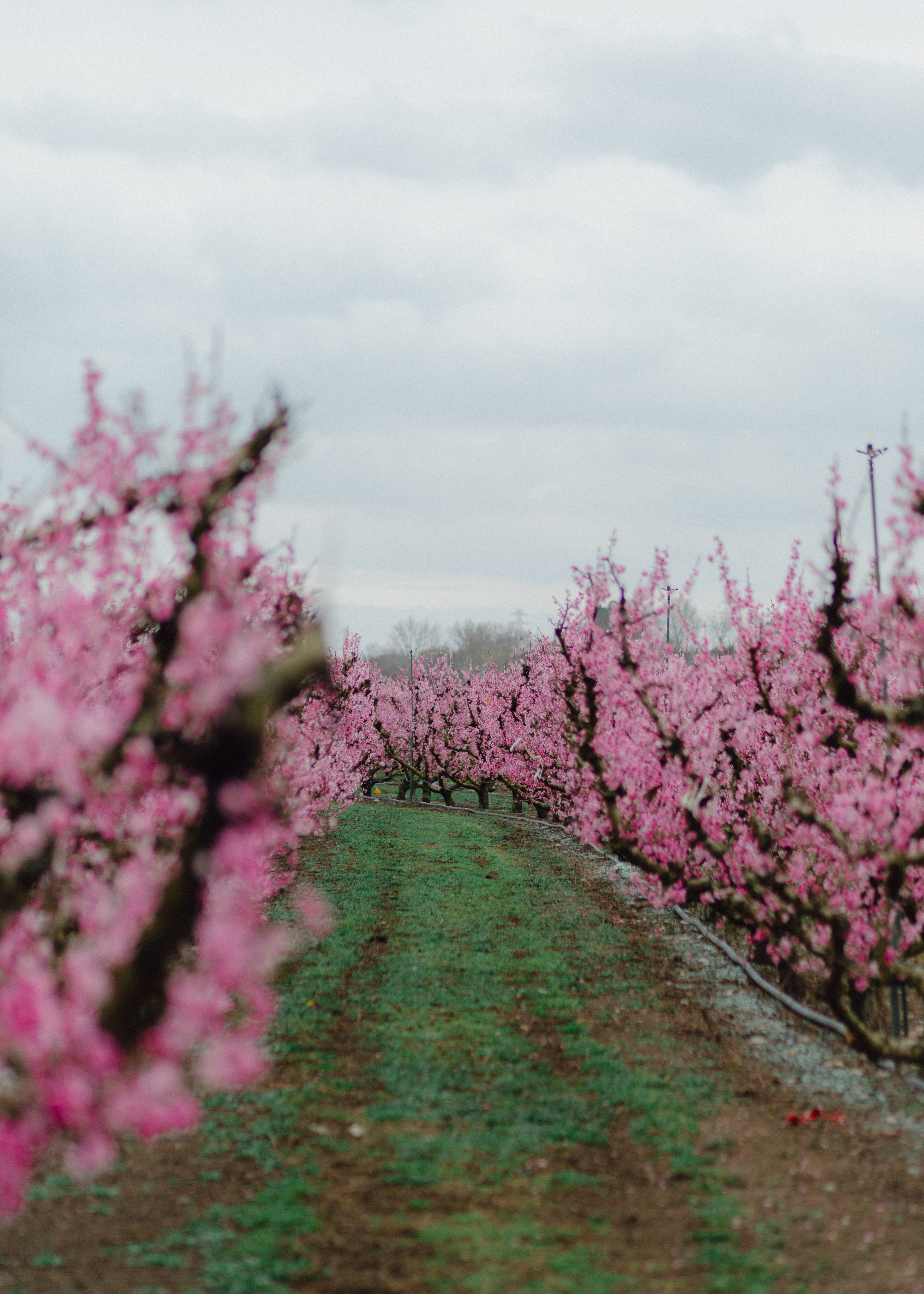 Sasha & Anton. Barbara Isaeva