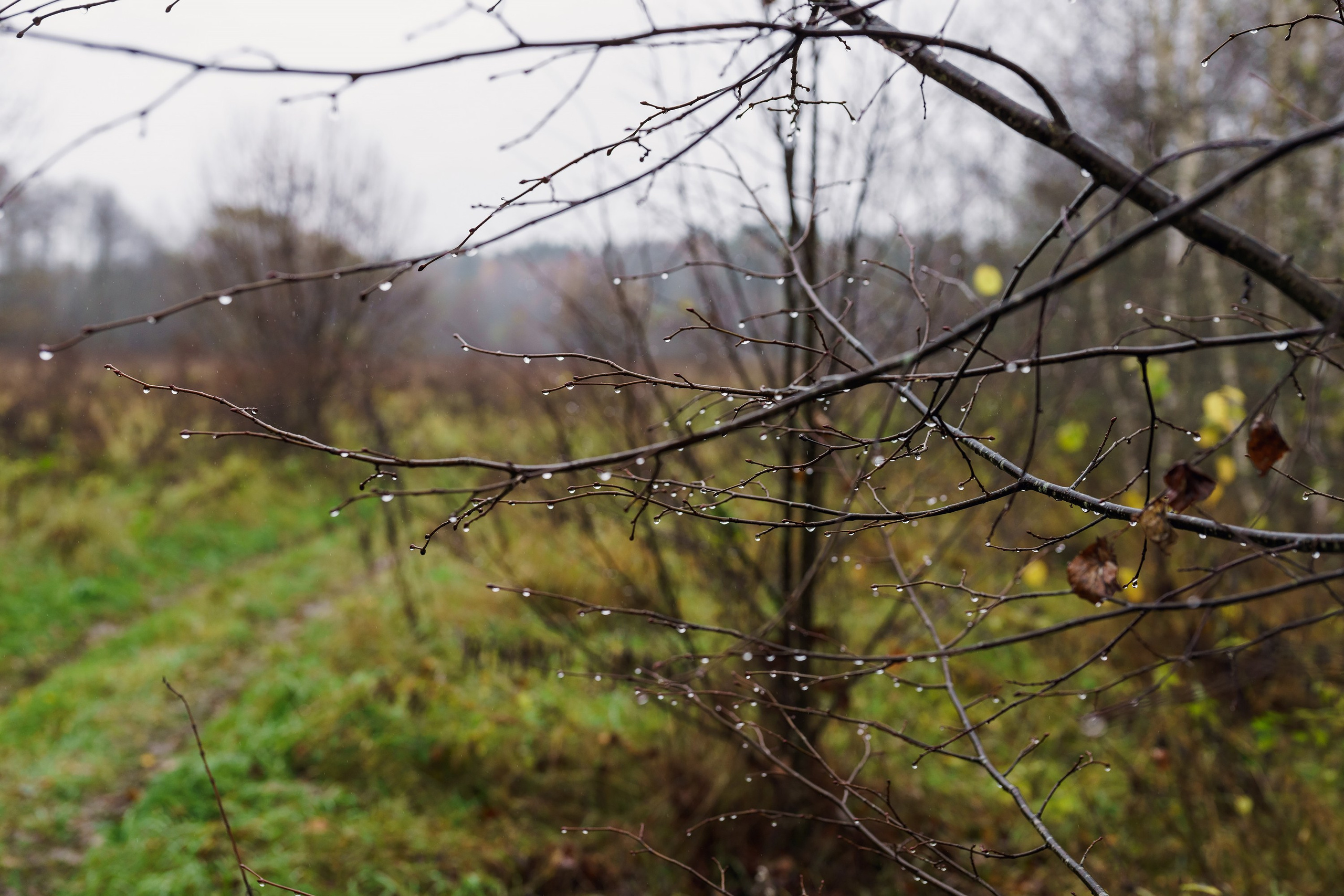 Фотографии Трейл Кутузов 2025. Фотограф спортивные события, недвижимость, турбизнес