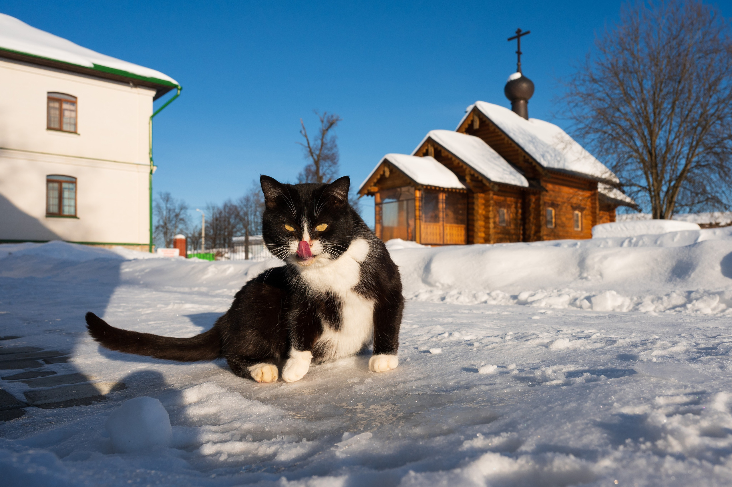 Добринский монастырь, Суворовский район. Фотограф и видеооператор в Туле | Даниил Рыбак