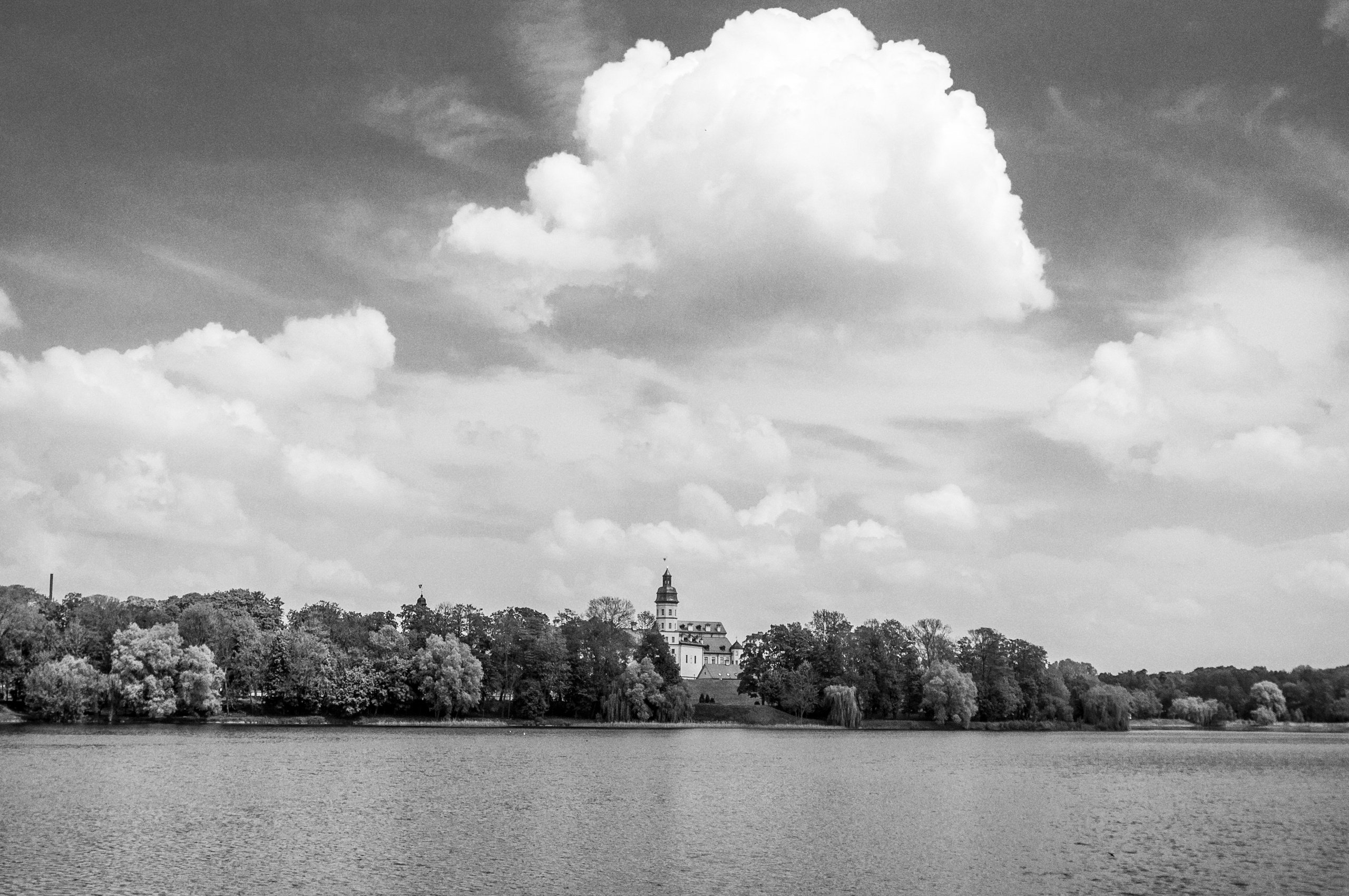 Несвиж 2013. Фотограф Антон Швец — Монохромная реальность