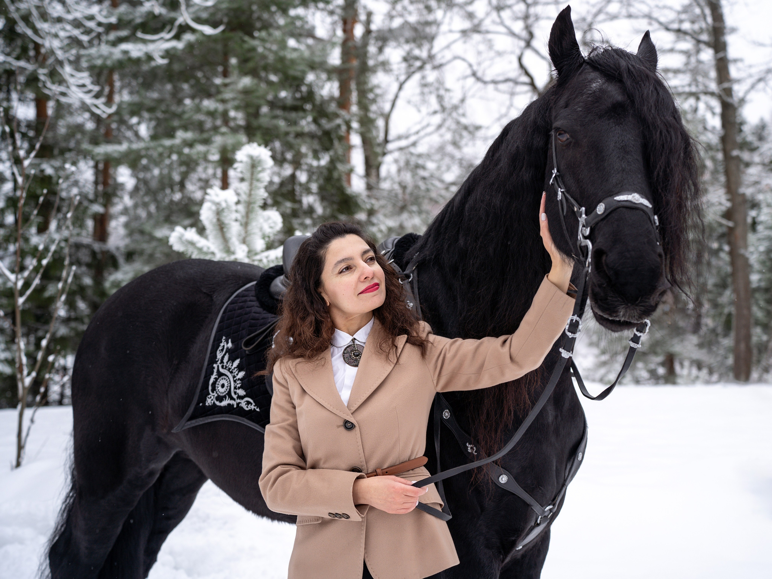 Лошадки зима. Фотограф Зинаида Евдокимова