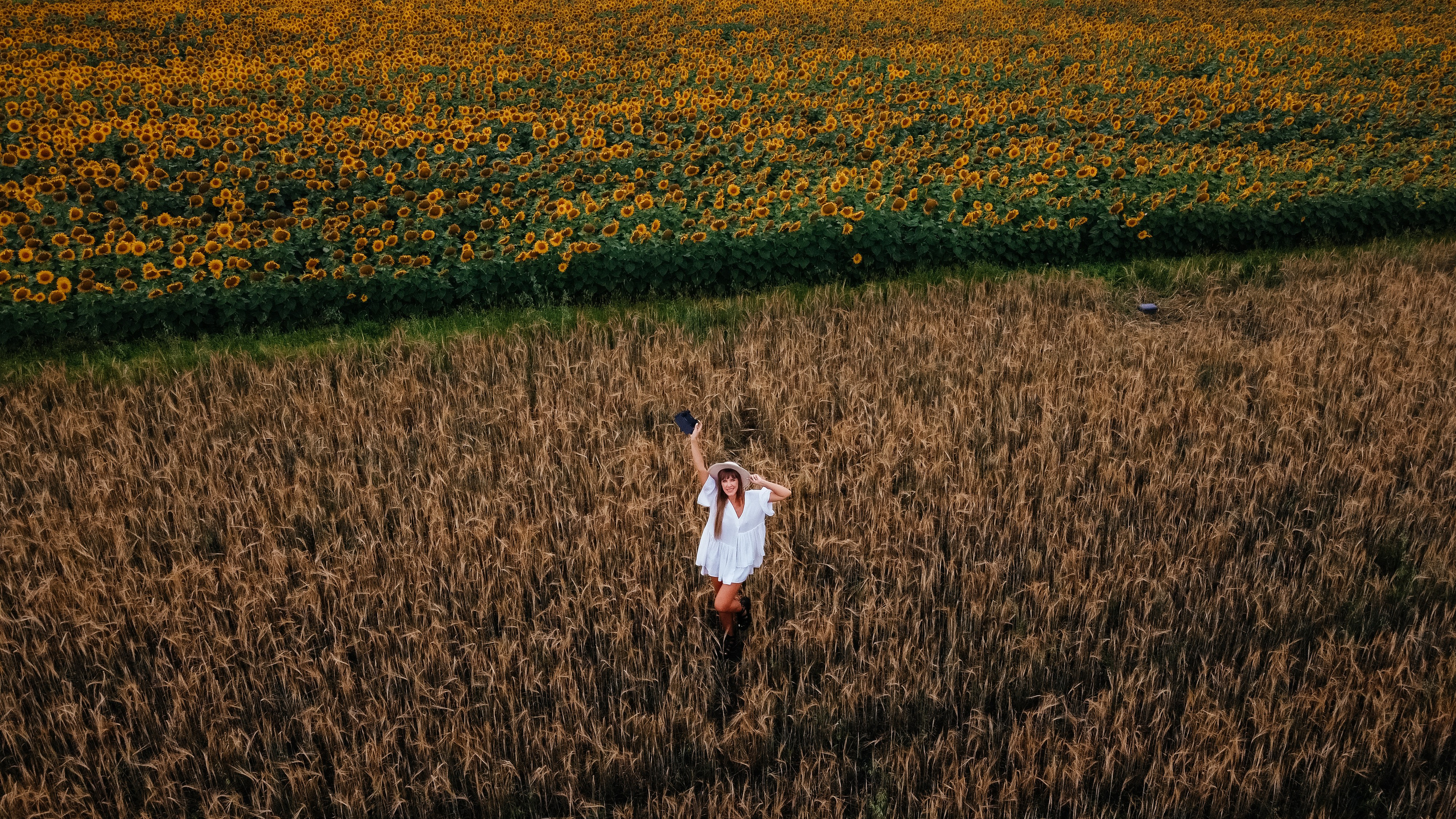 Подсолнухи, Тюмень. Свадебный и семейный фотограф. Фототуры по всему миру