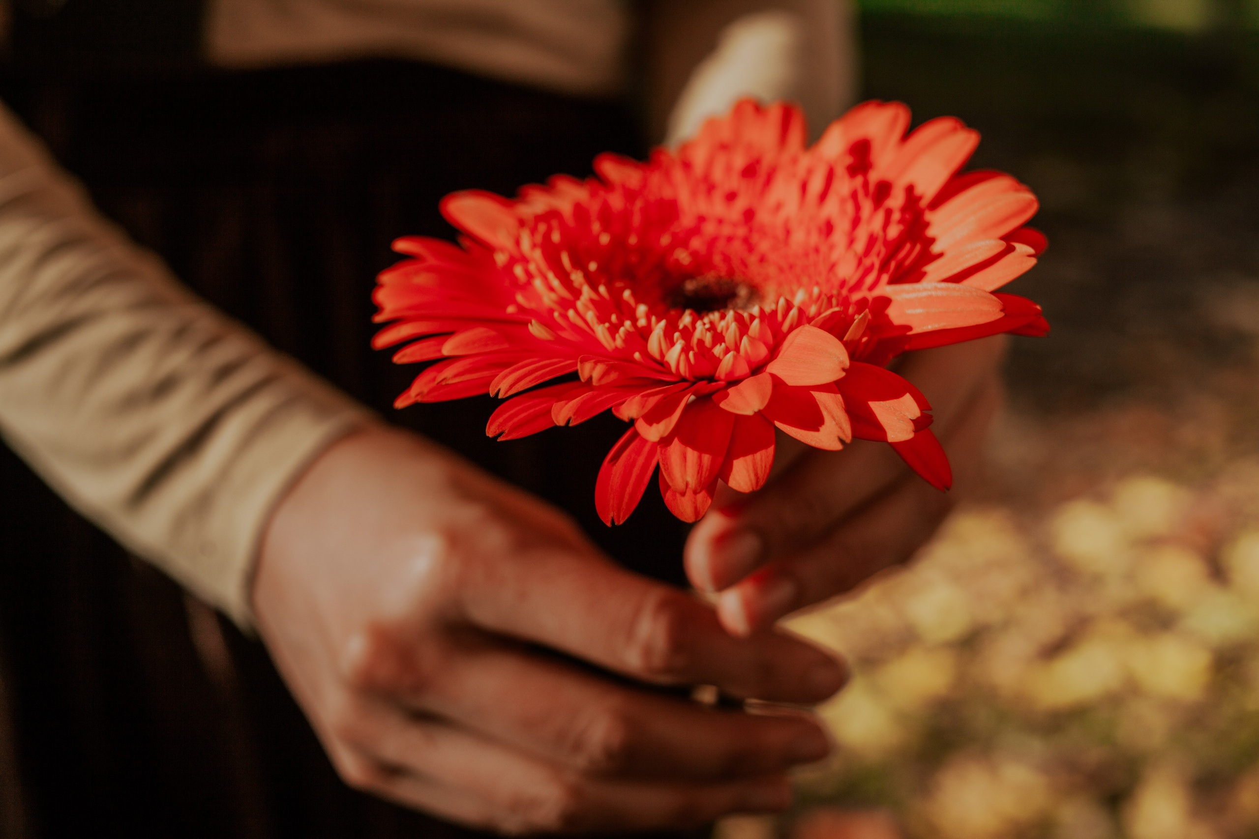 Таня — Индивидуальная фотосессия. Семейный фотограф во Всеволожске и Санкт-Петербурге Юлия Капустина