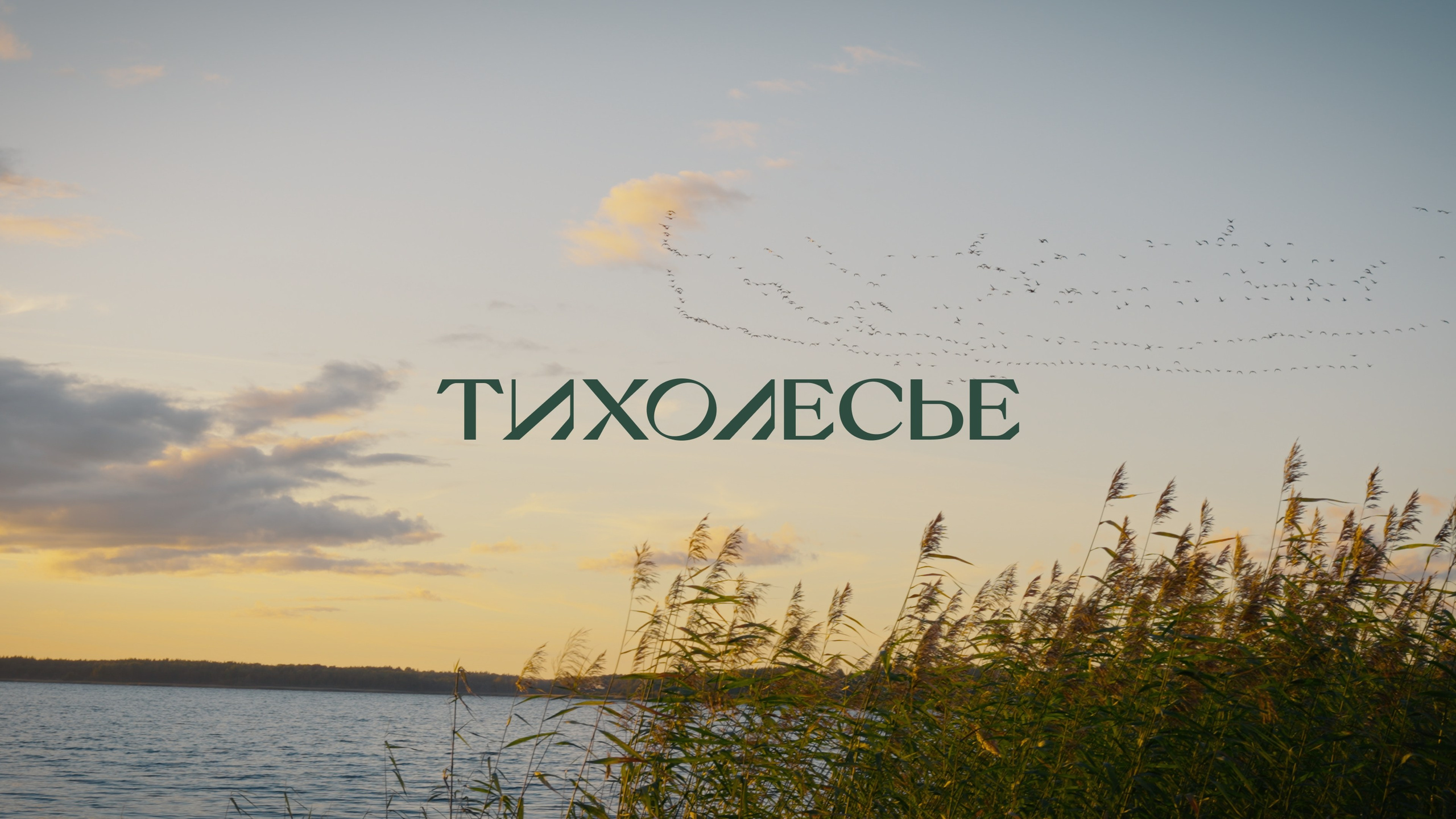 Тихолесье — Ваш дом и уют (promo). Цветокоррекция видео онлайн Иван Сержанов