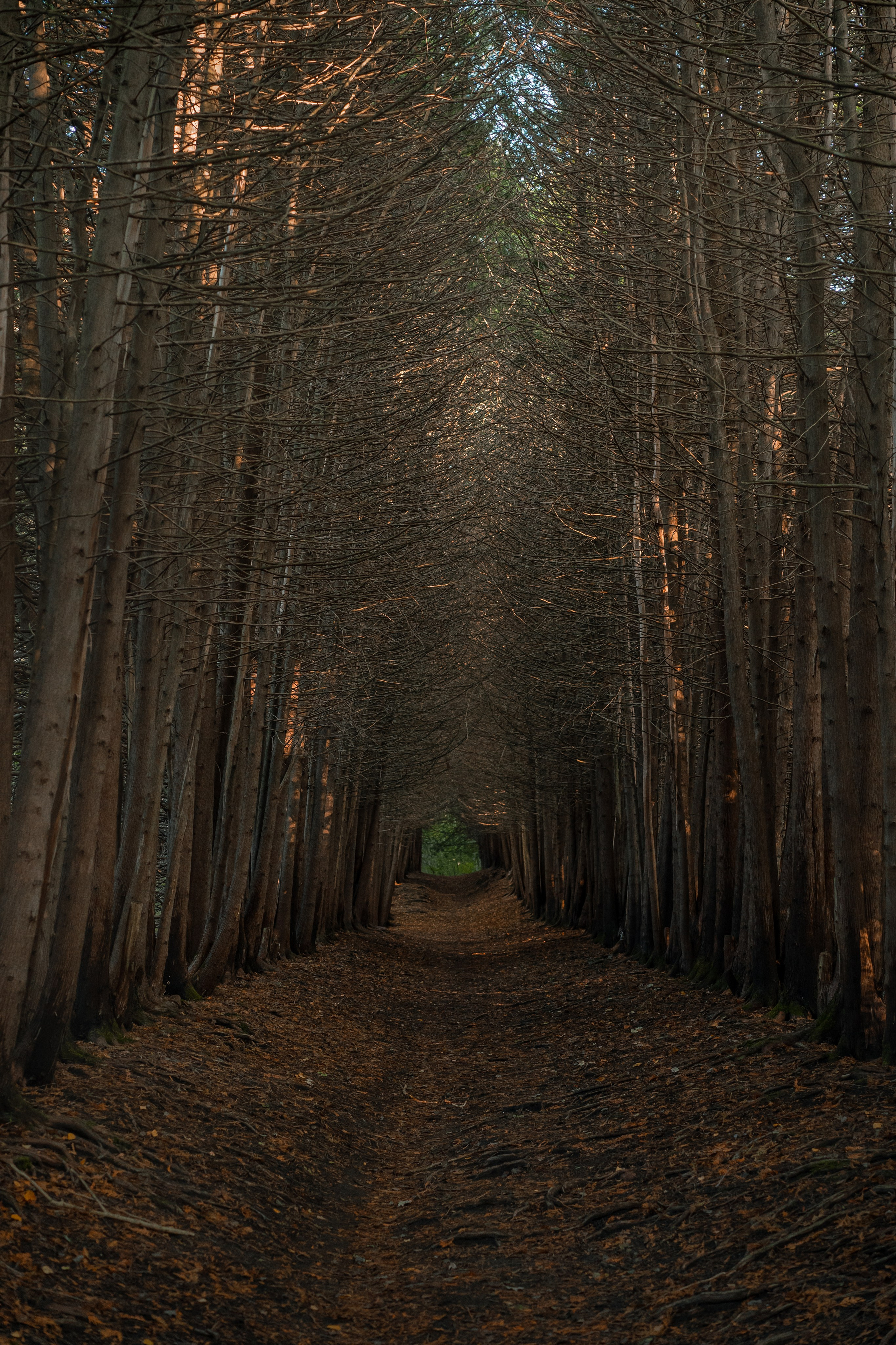 Кисловодск, терренкуры национального парка. Юля Дэй • Фотограф, Санкт-Петербург