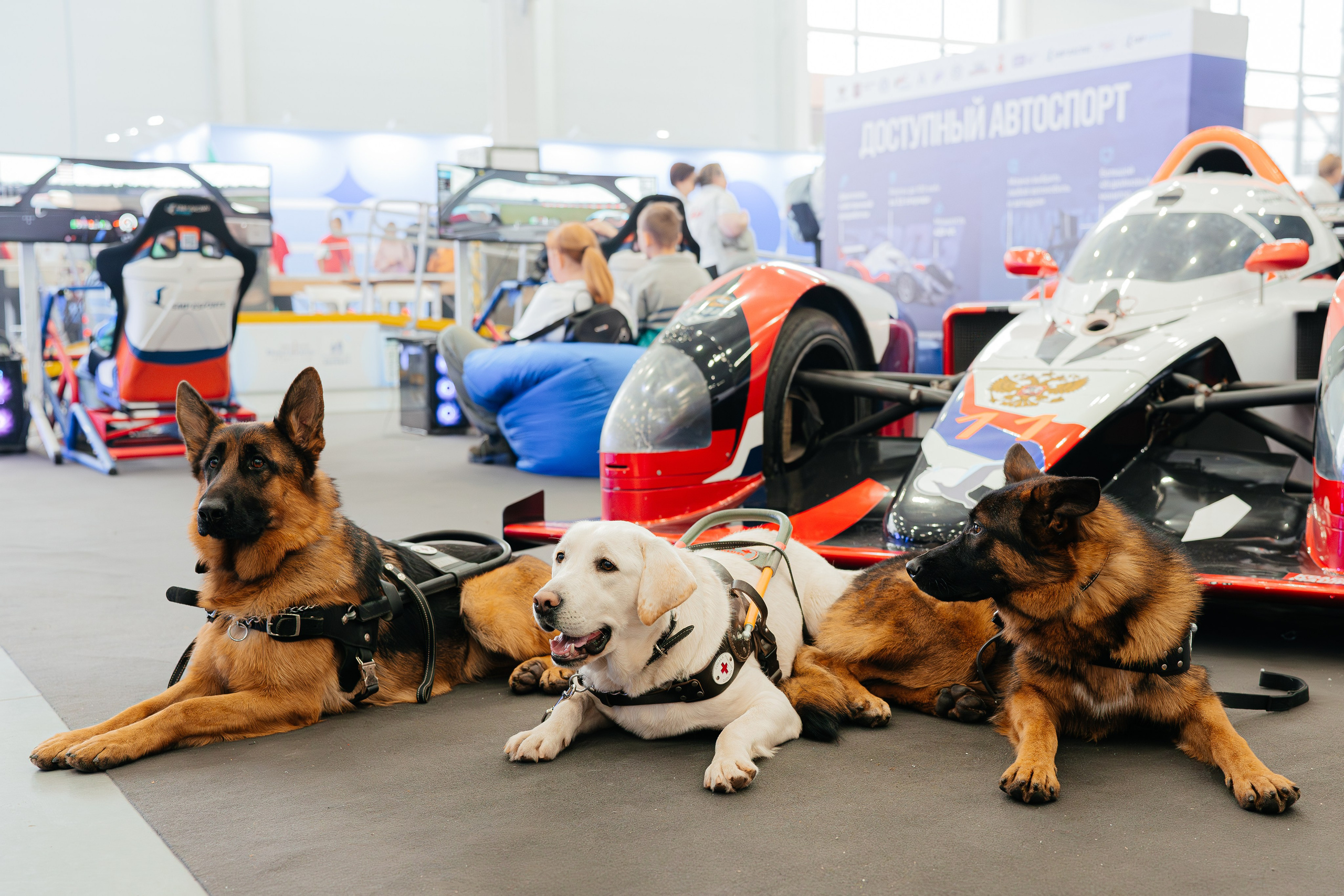 Абилимпикс 2025. Коммерческий фотограф в Санкт-Петербурге Анна Кобзарь