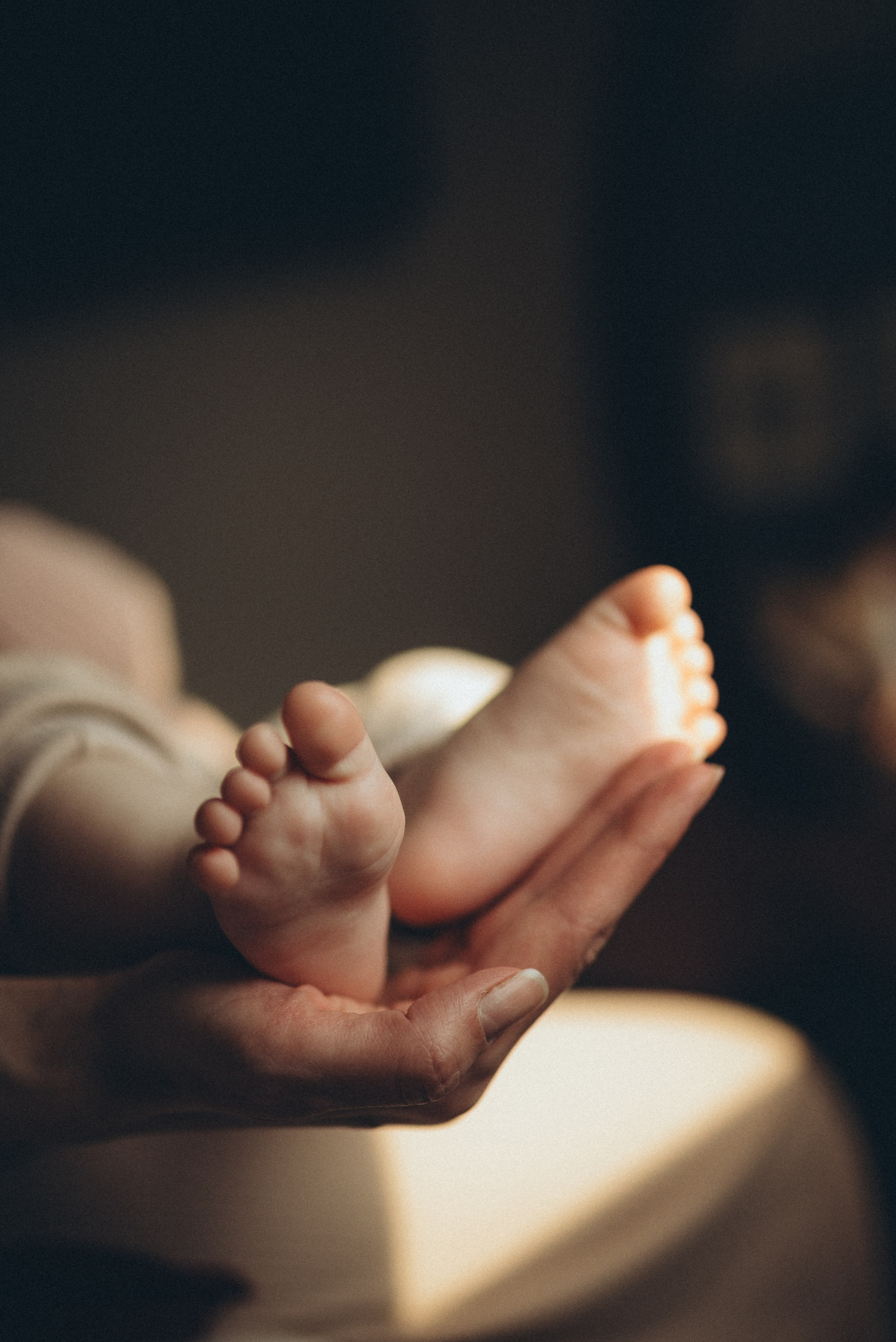 Варюша и Вика. Семейный и детский фотограф в Щелково Алена Дробот