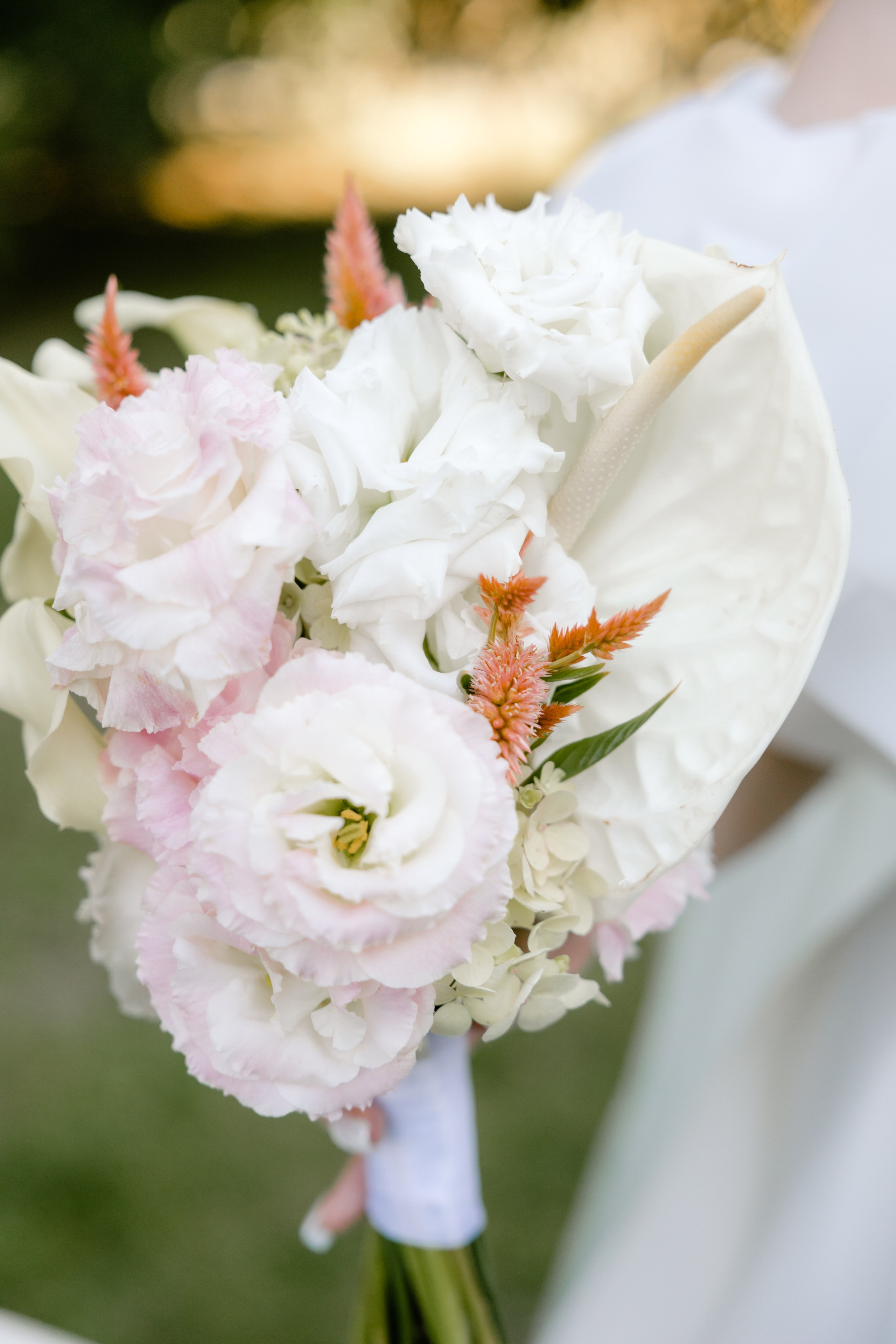 Полина и Александр. Фотограф и Видеограф во Владимире