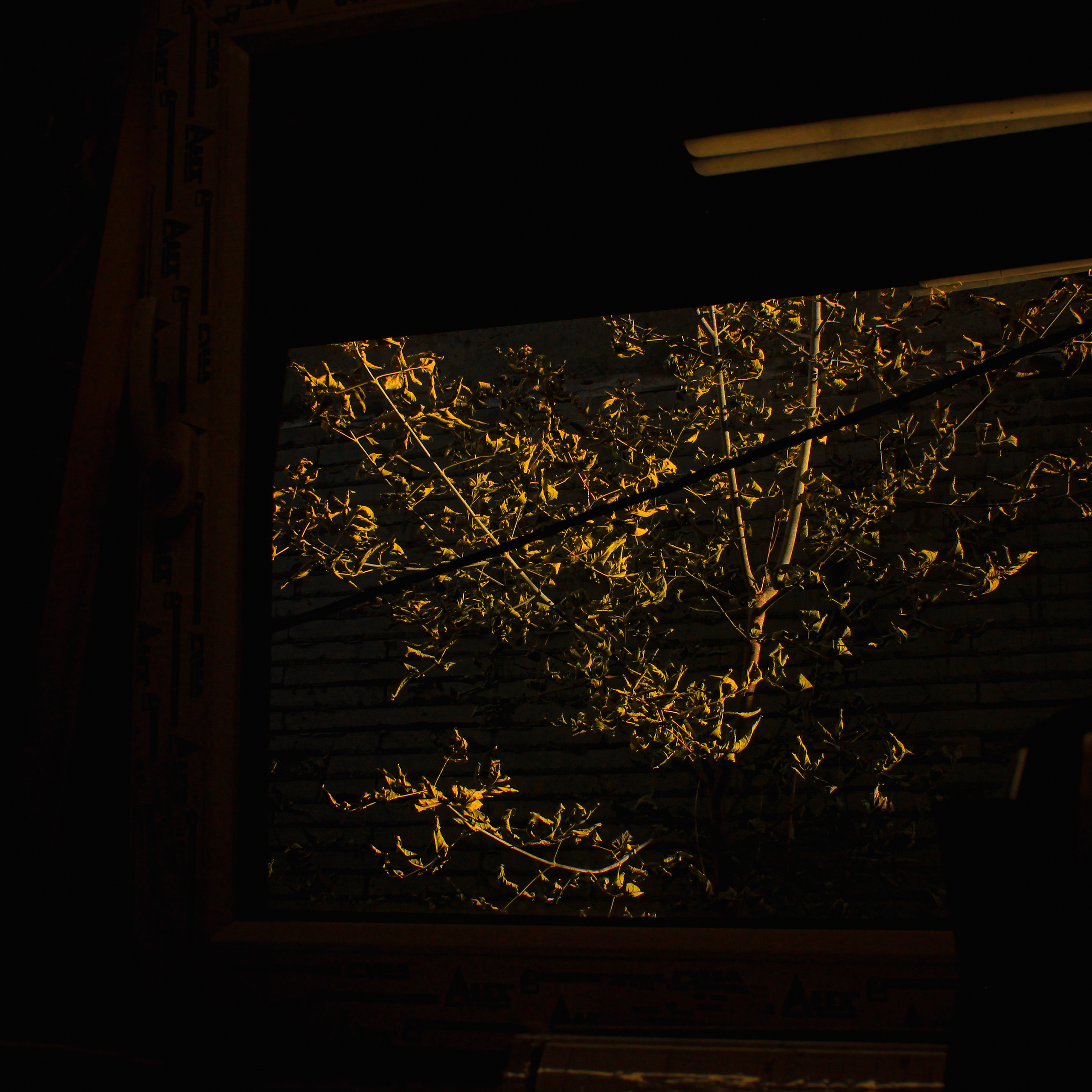 Shades of autumn. Фотограф/дизайнер в Екатеринбурге Хитрый Дмитрий