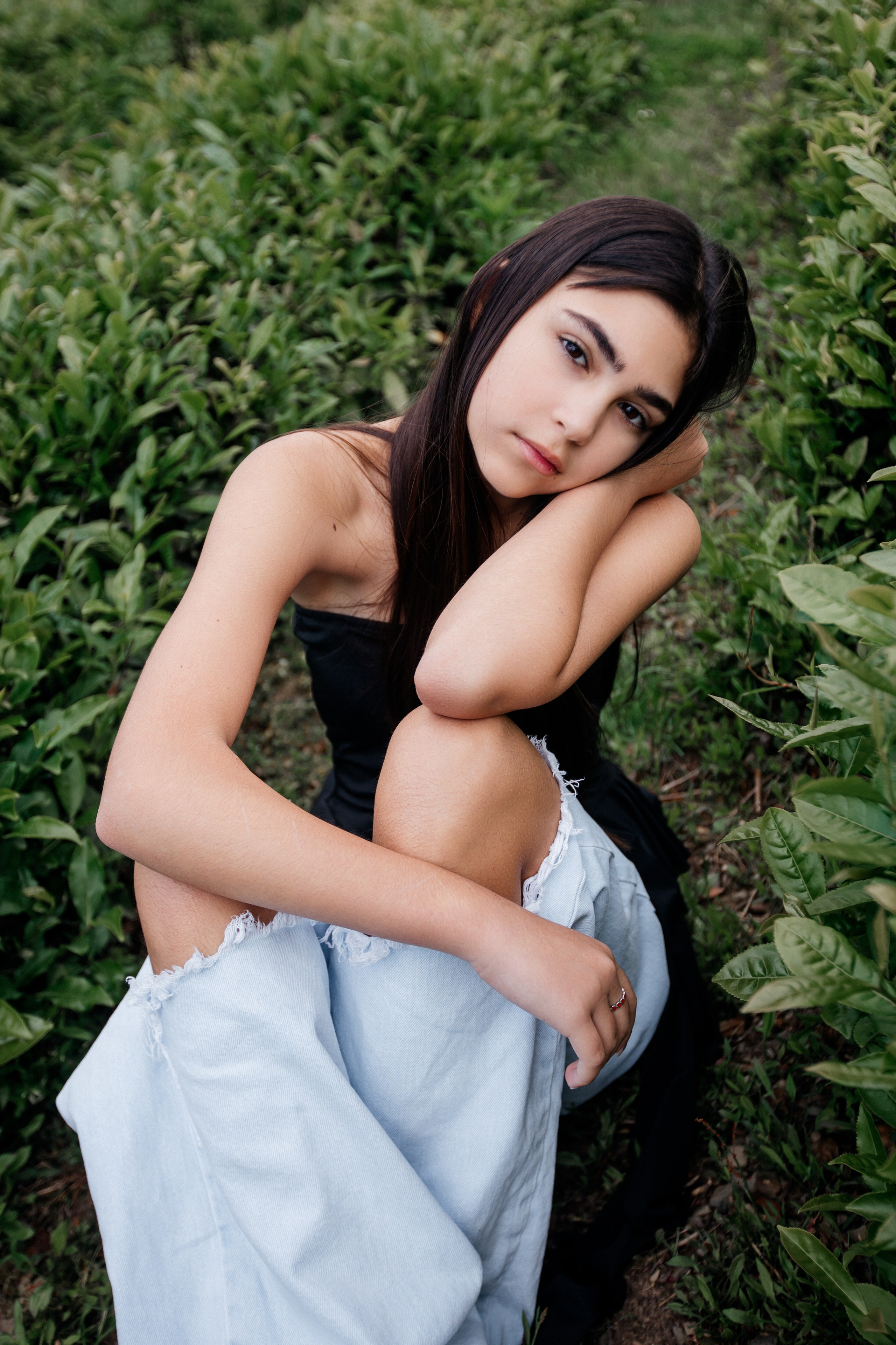 Tea plantation. Efimova Model Agency