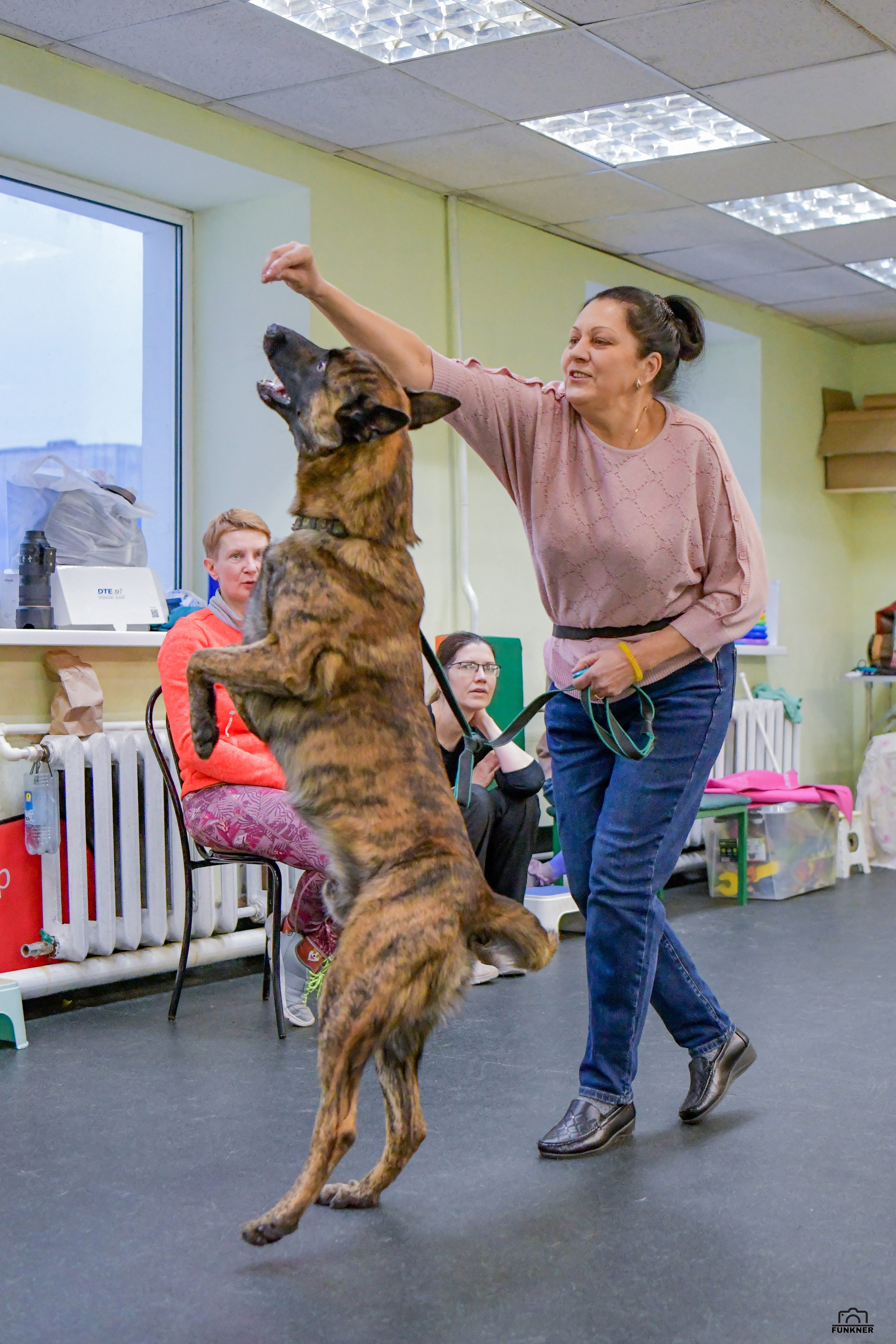 Кинологический клуб «Бодрый хвост». Свой взгляд через объектив