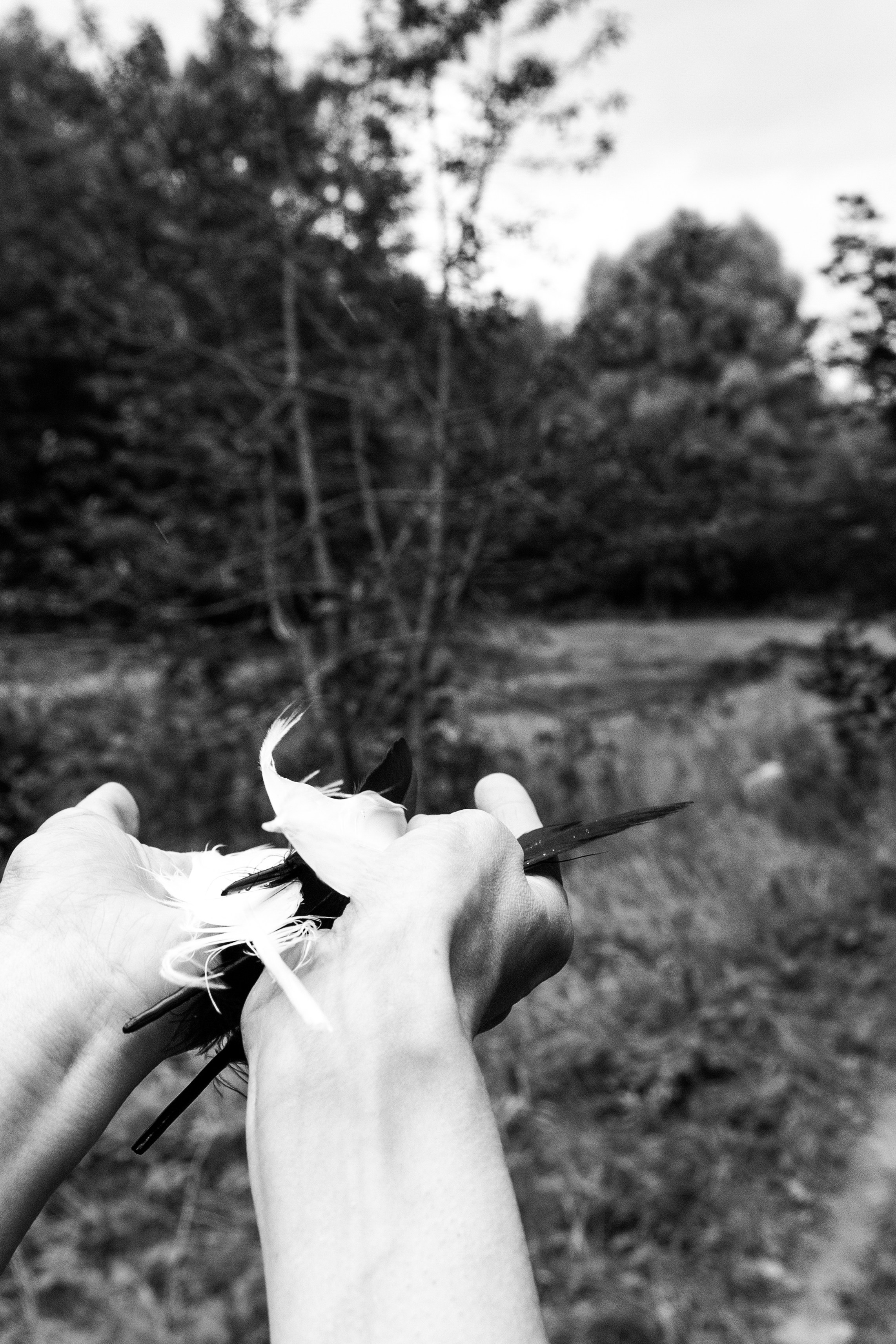 «Там, куда я ухожу — весна». Фототерапия. Портфолио