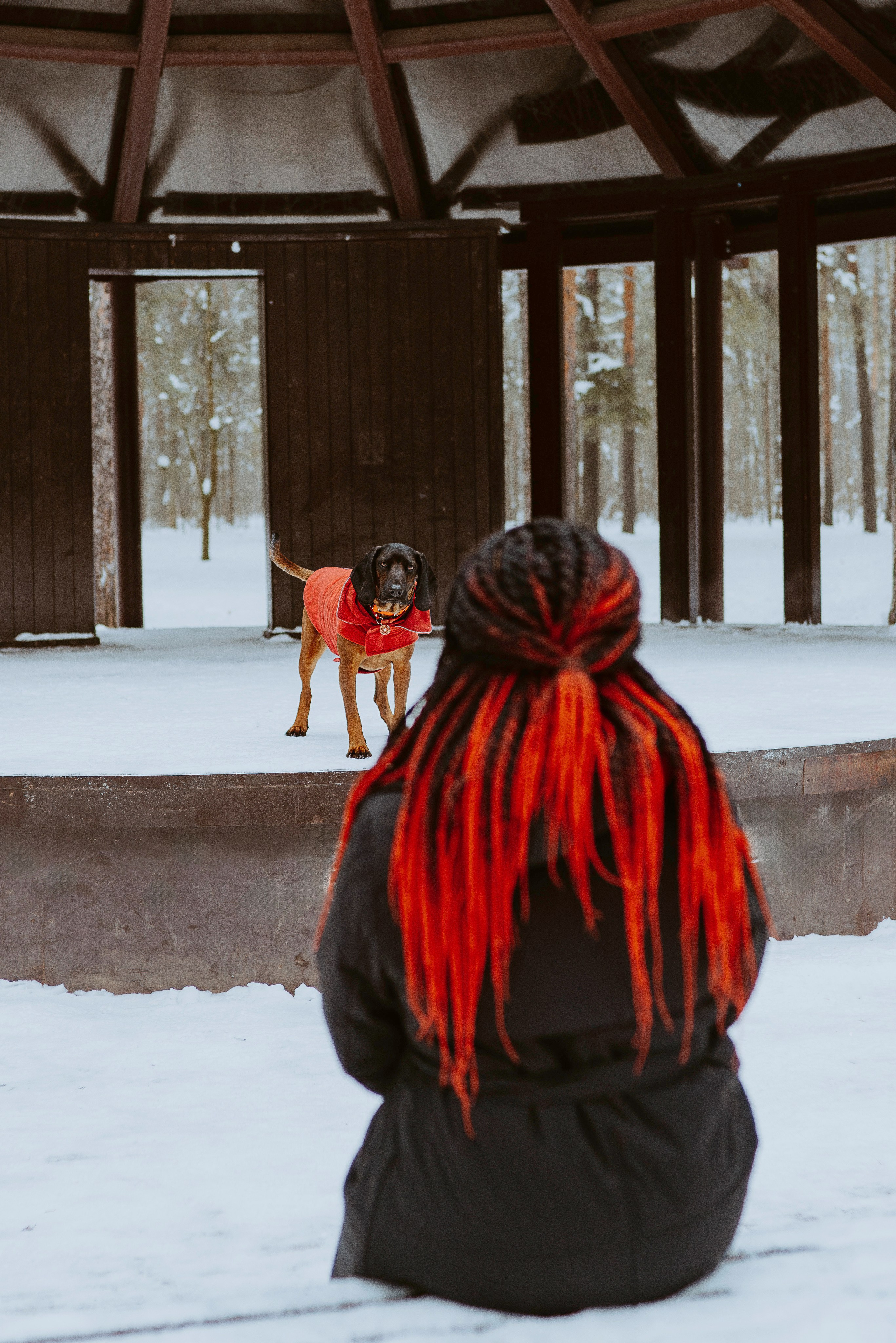 Ольга, Рора и Румпель. Фотограф анималист в Спб недорого Олеся Майорова