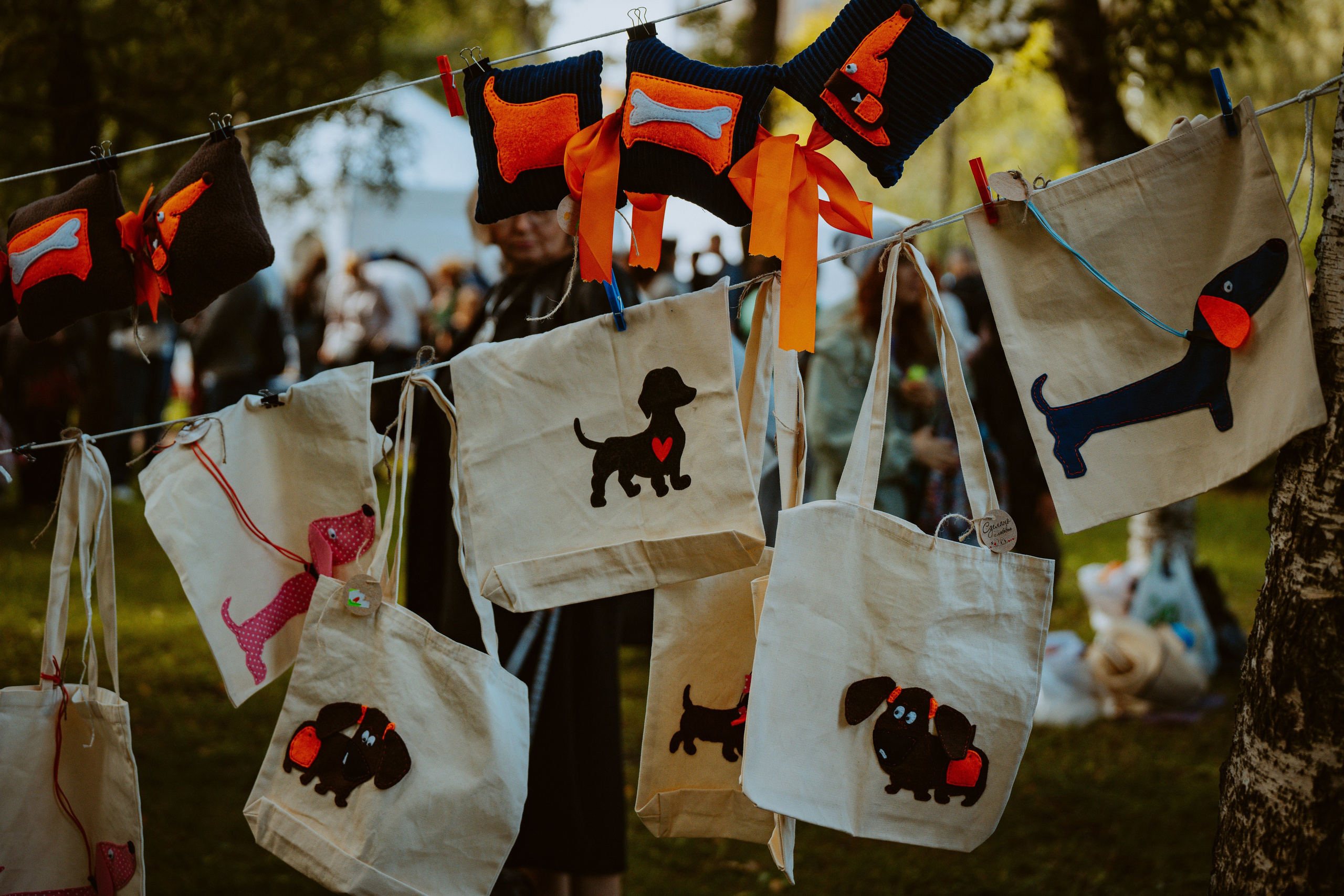 Такспарад. Фотограф анималист в Спб недорого Олеся Майорова