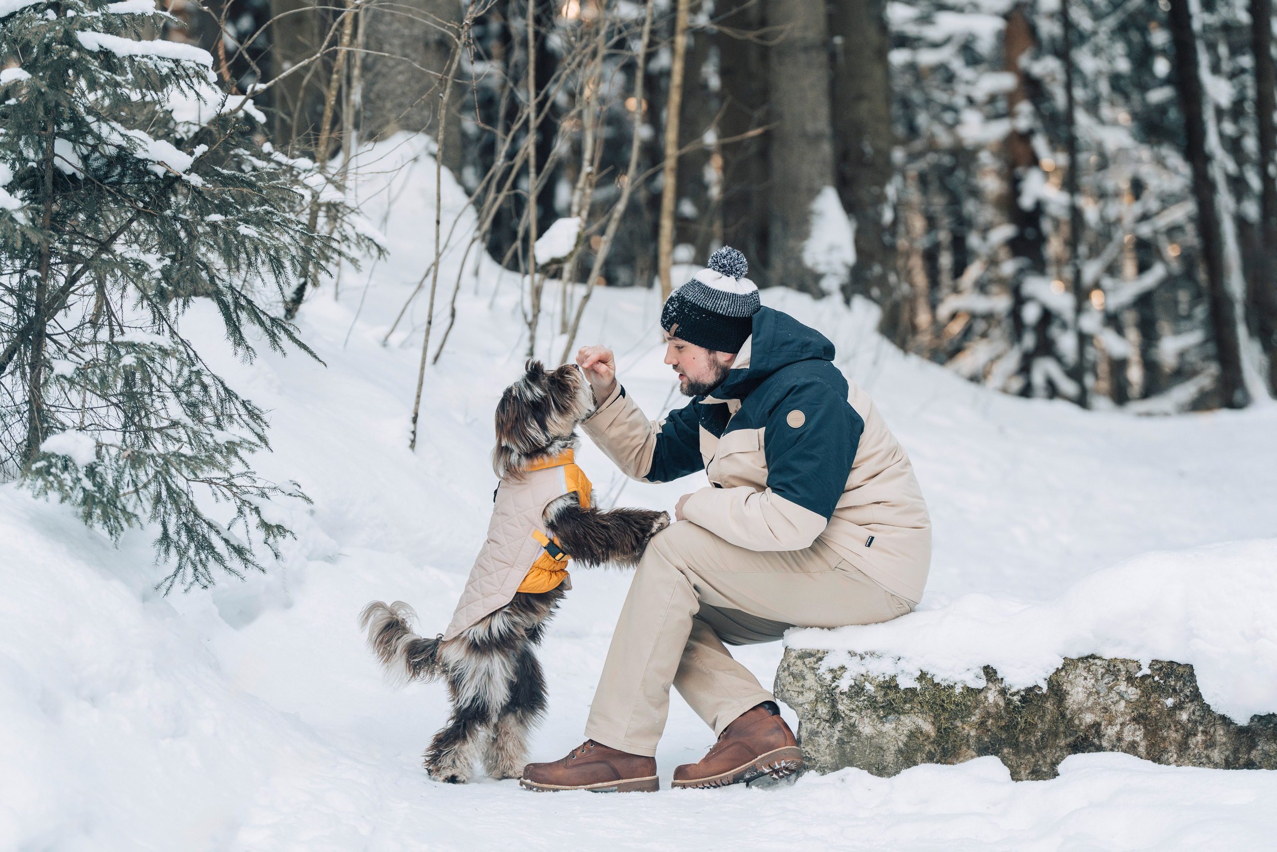 Хэйзел и её семья. Фотограф анималист в Спб недорого Олеся Майорова